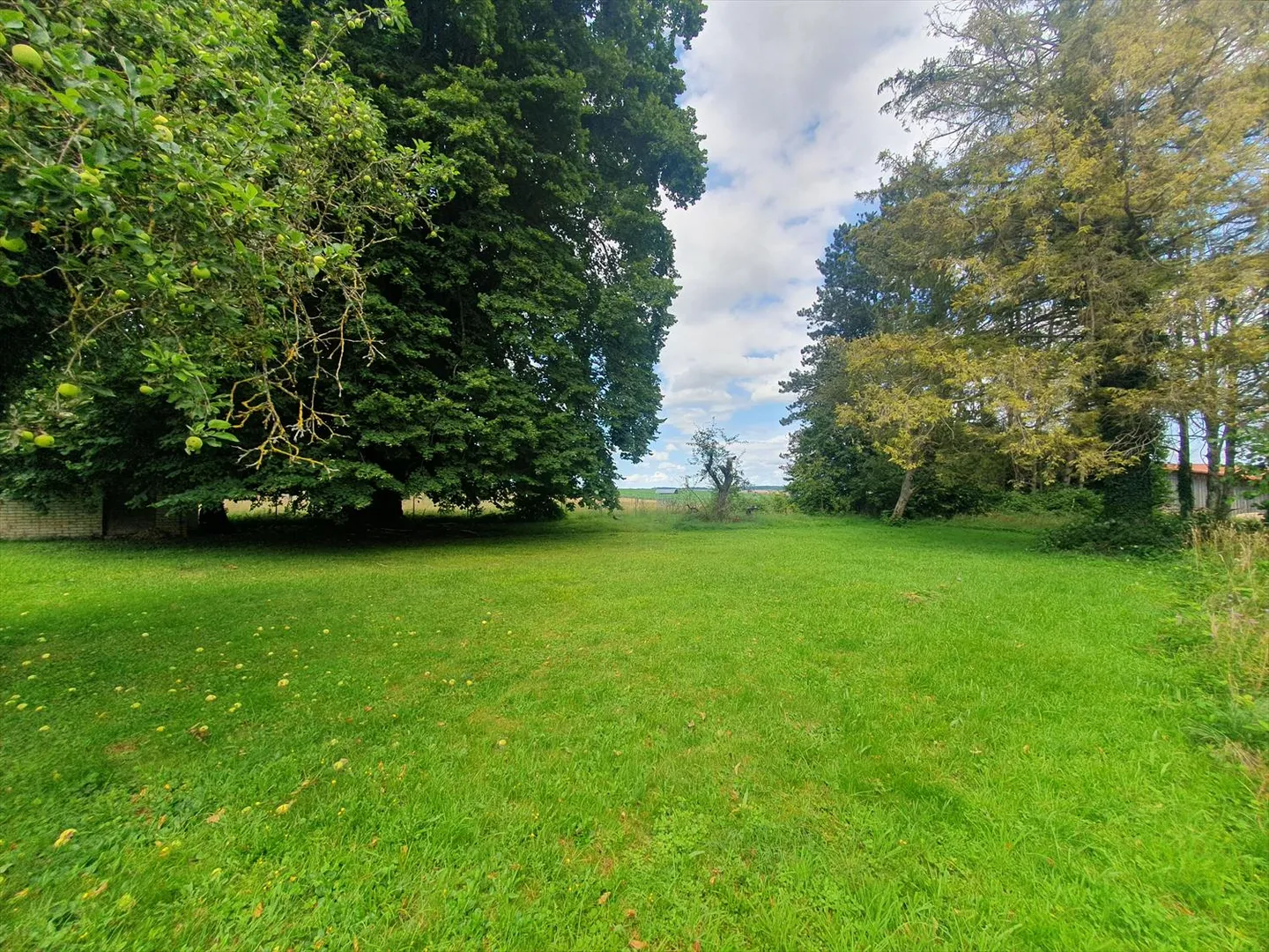 Villa - Foto 5 di 28