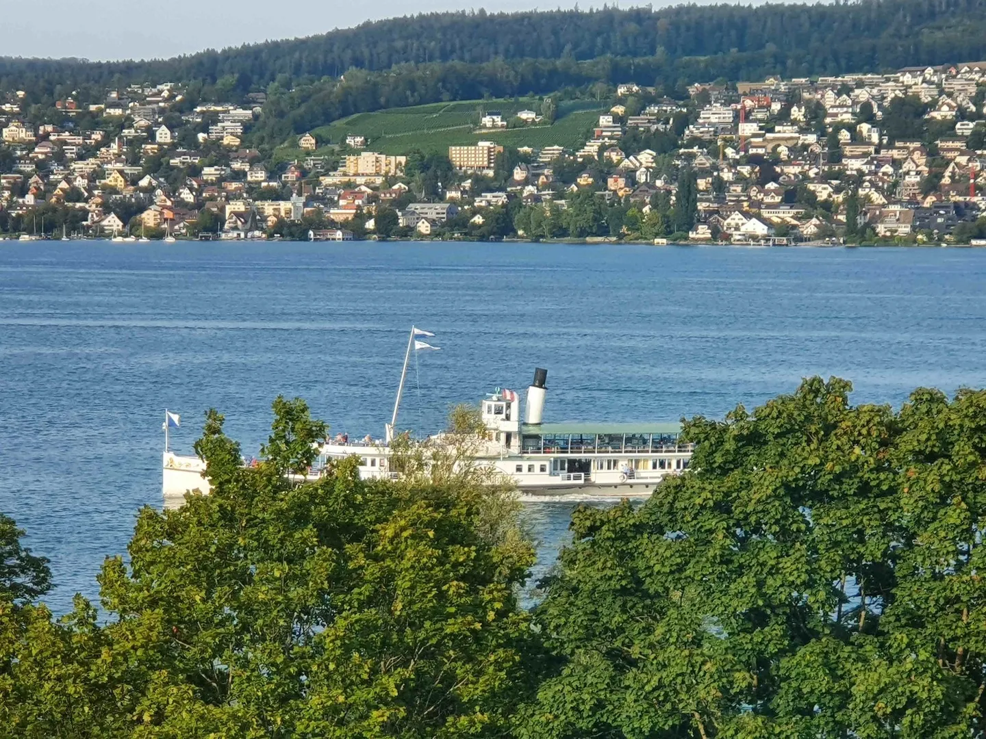 Elegante appartamento executive di 150 m2 con vista sulle Alpi e sul lago di Zurigo - Foto 39 di 45