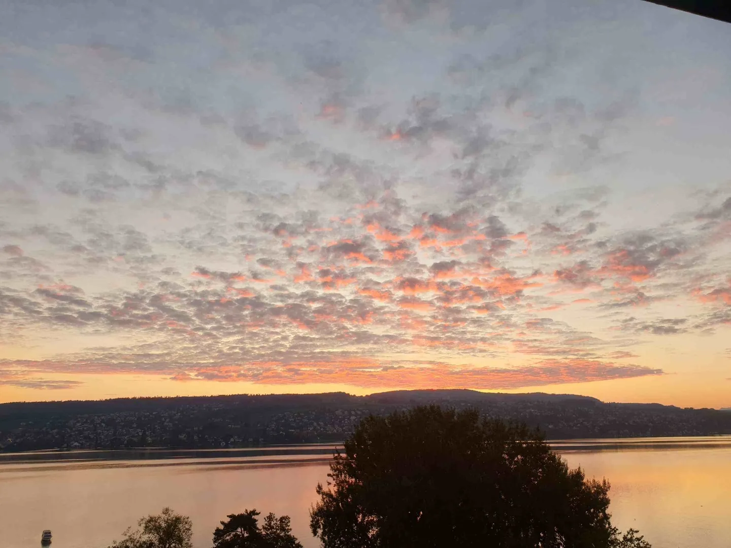 Elegante appartamento executive di 150 m2 con vista sulle Alpi e sul lago di Zurigo - Foto 42 di 45