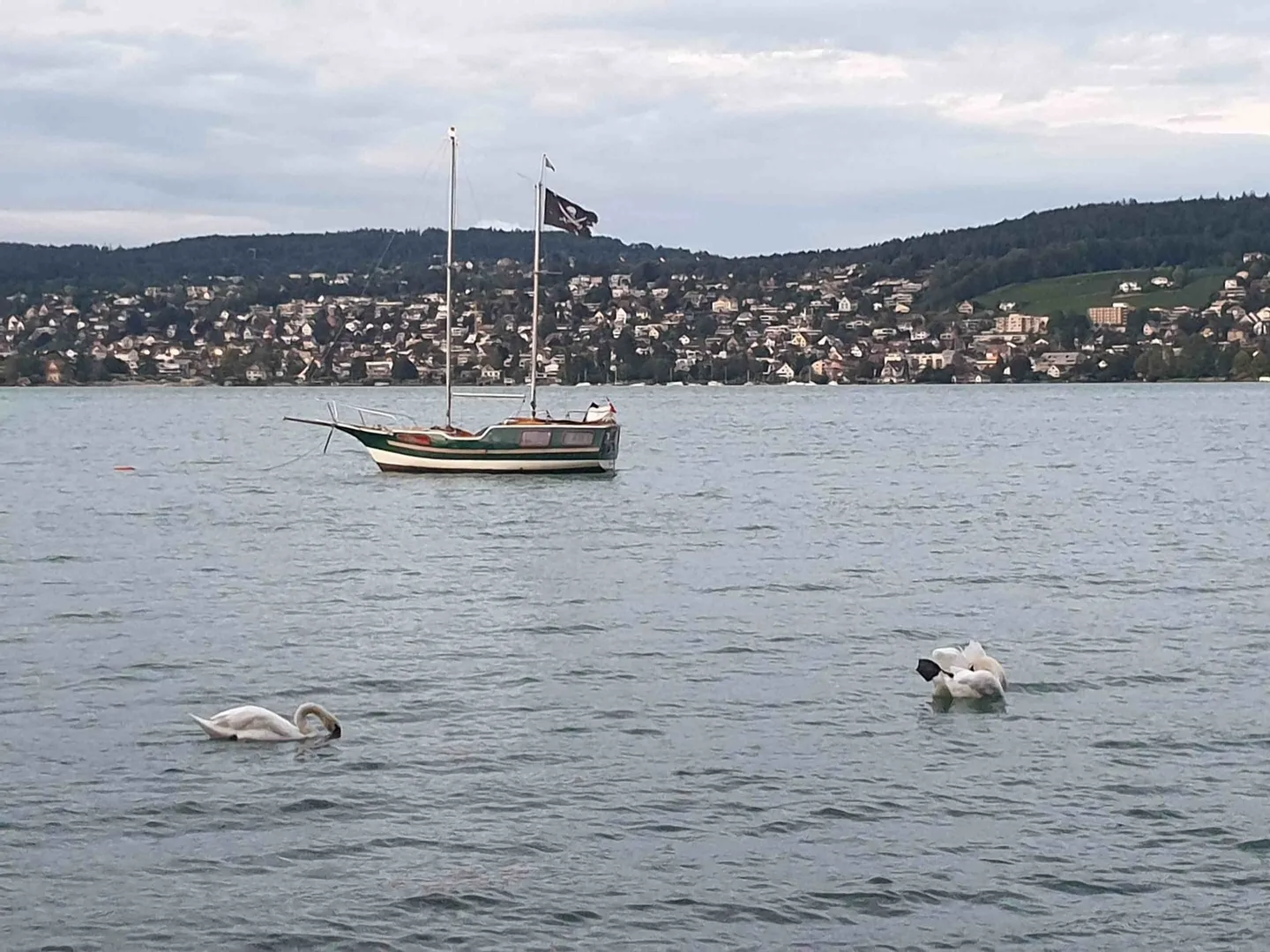 Elegante appartamento executive di 150 m2 con vista sulle Alpi e sul lago di Zurigo - Foto 44 di 45