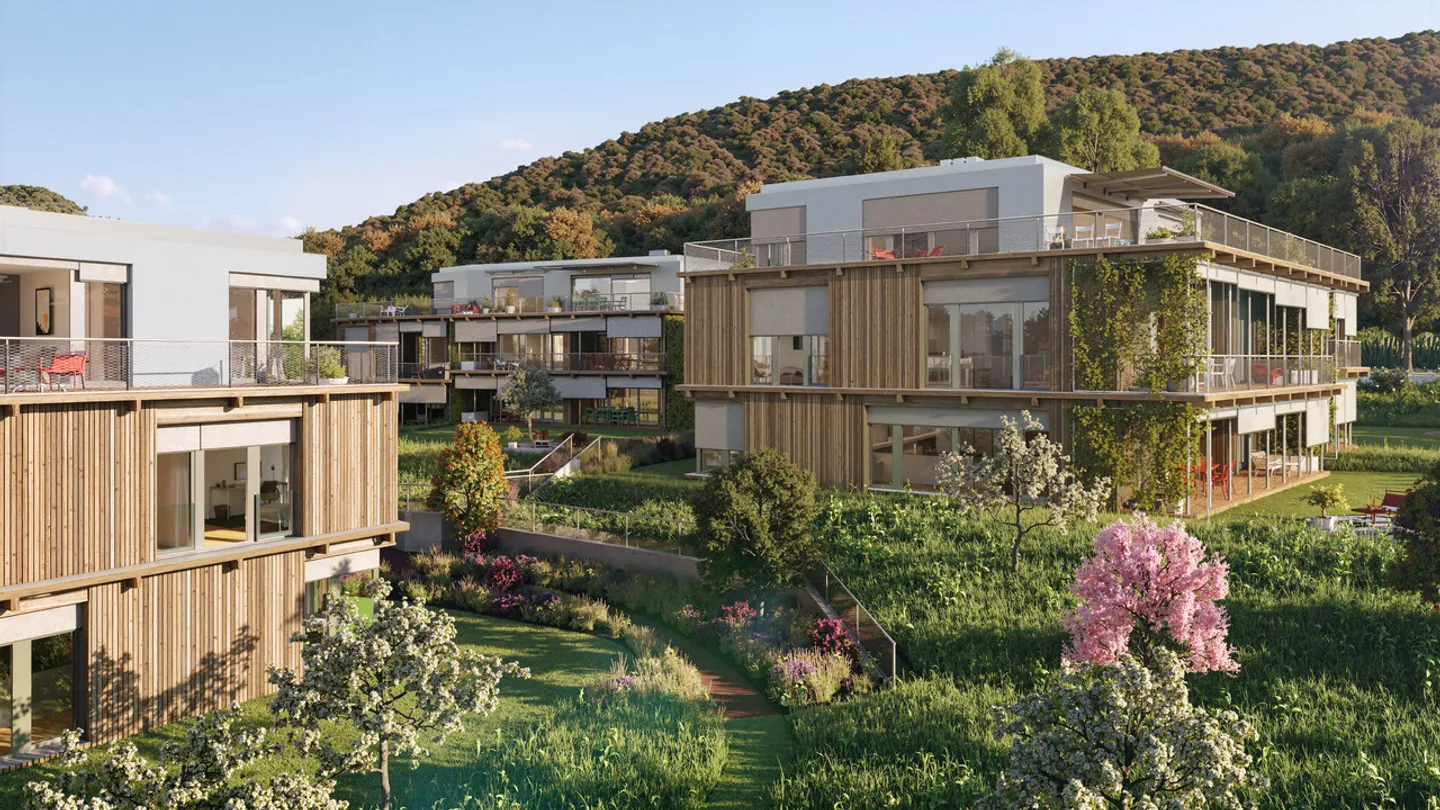 Luxury Apartments in Arlesheim - Photo 1 of 11