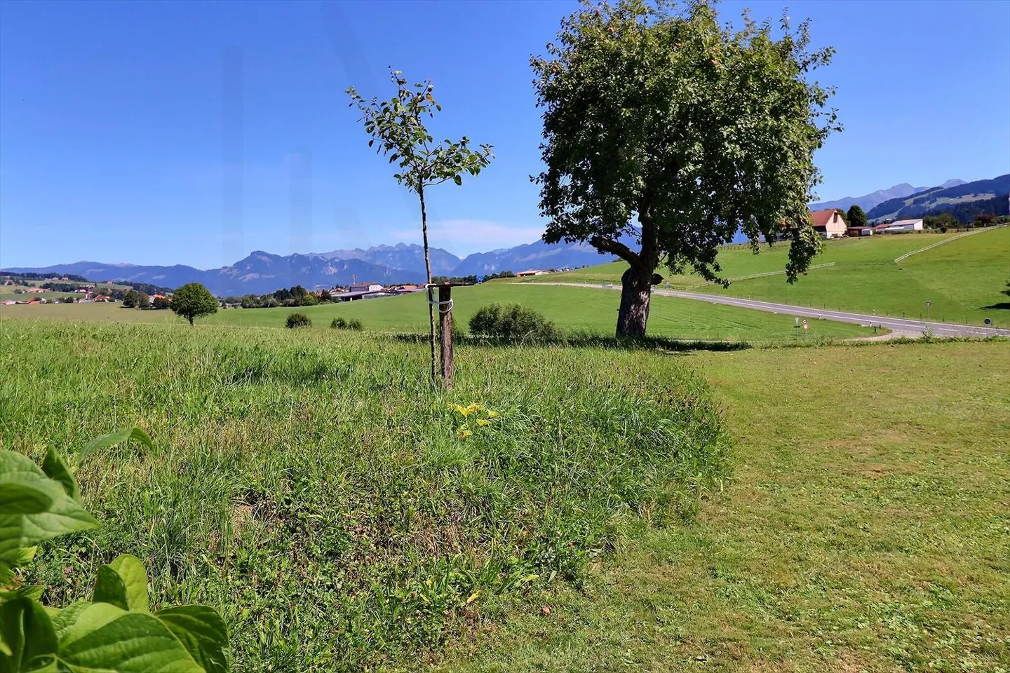 Appartement 4,5 pièces au rez-de-jardin d'une ferme totalement rénovée - Foto 10 di 10