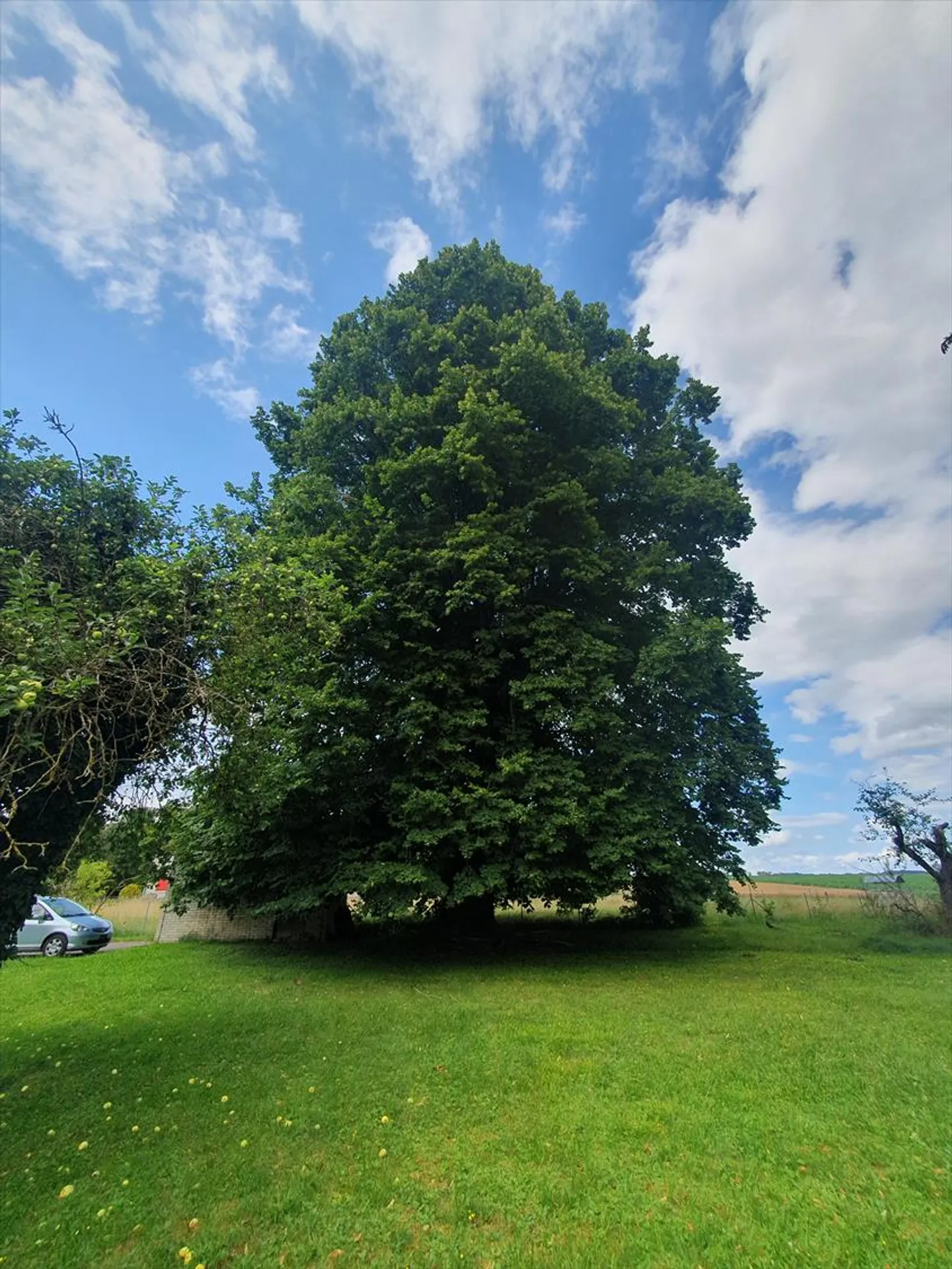 Villa - Foto 28 di 28