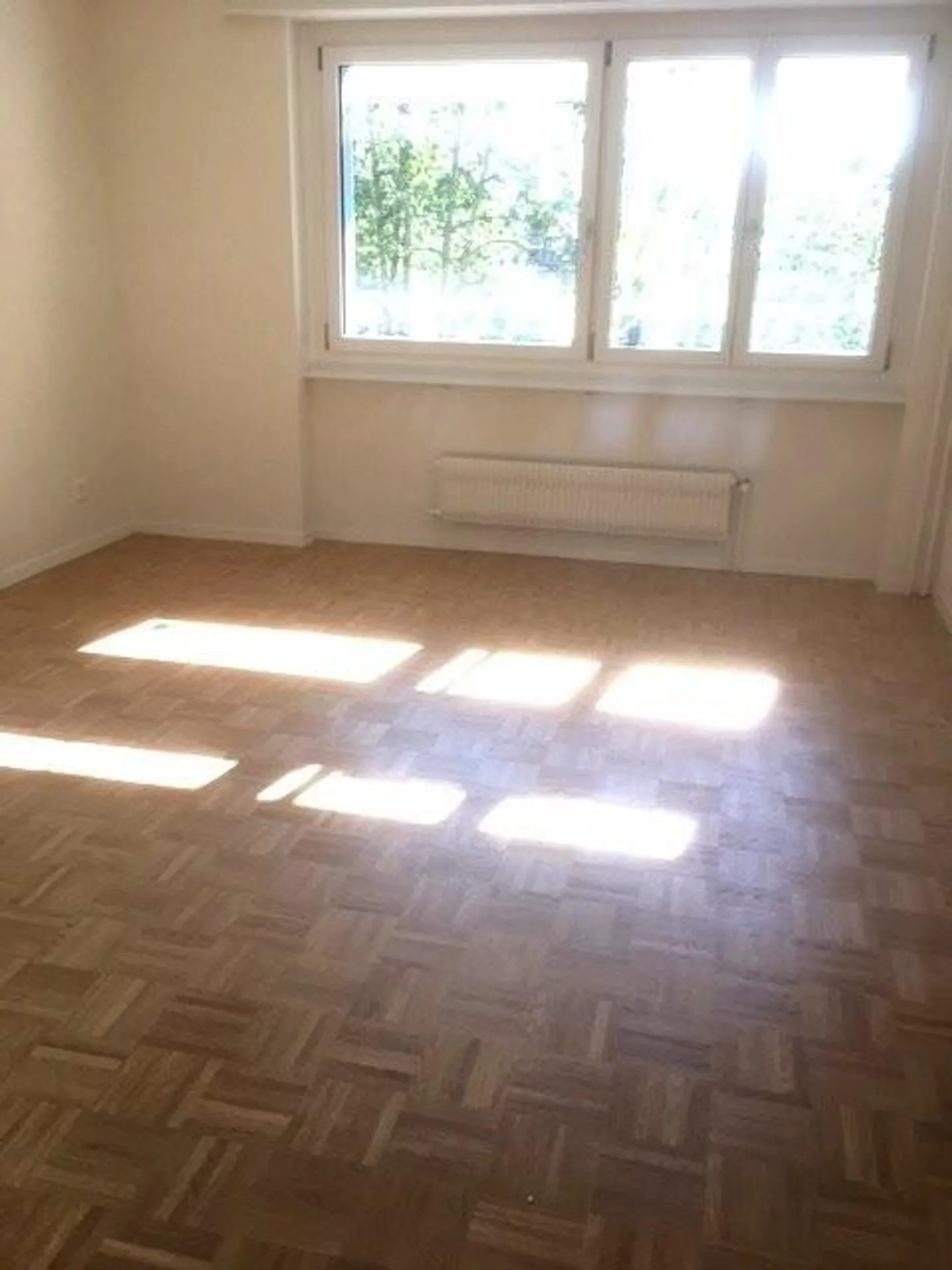 Appartement avec coin jardin ensoleillé ! - Photo 5 sur 5