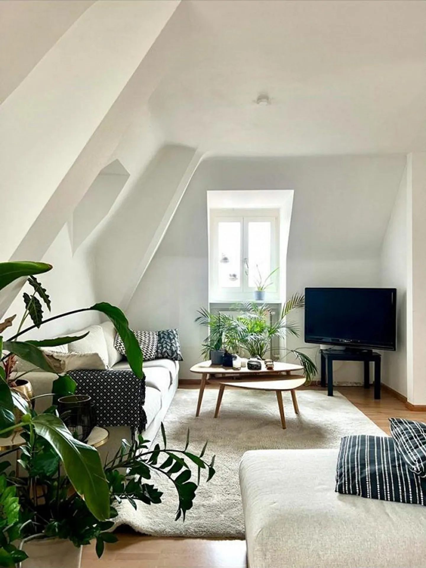 Appartamento di 2.5 locali con terrazza - Foto 2 di 9