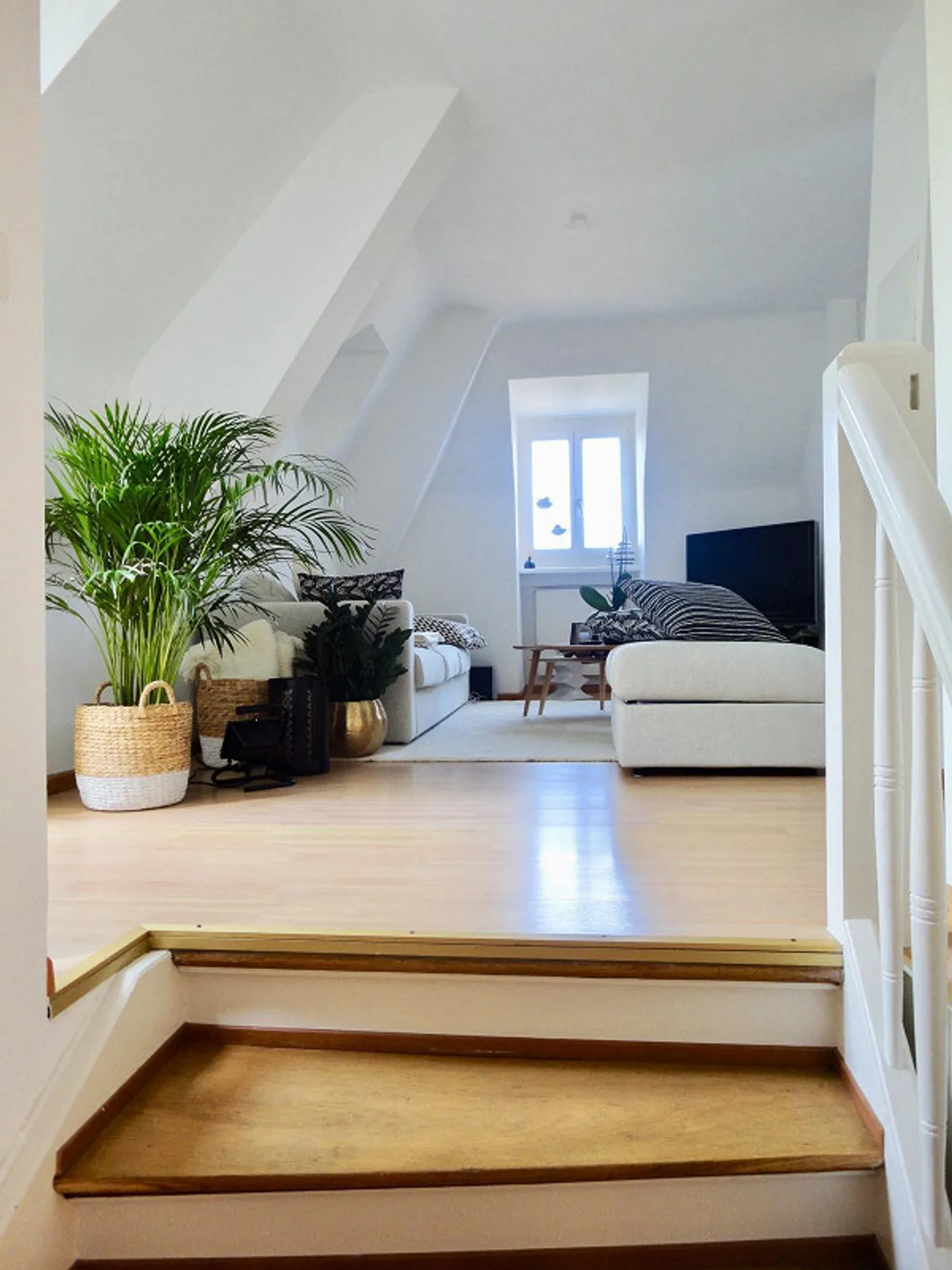 Appartamento di 2.5 locali con terrazza - Foto 5 di 9