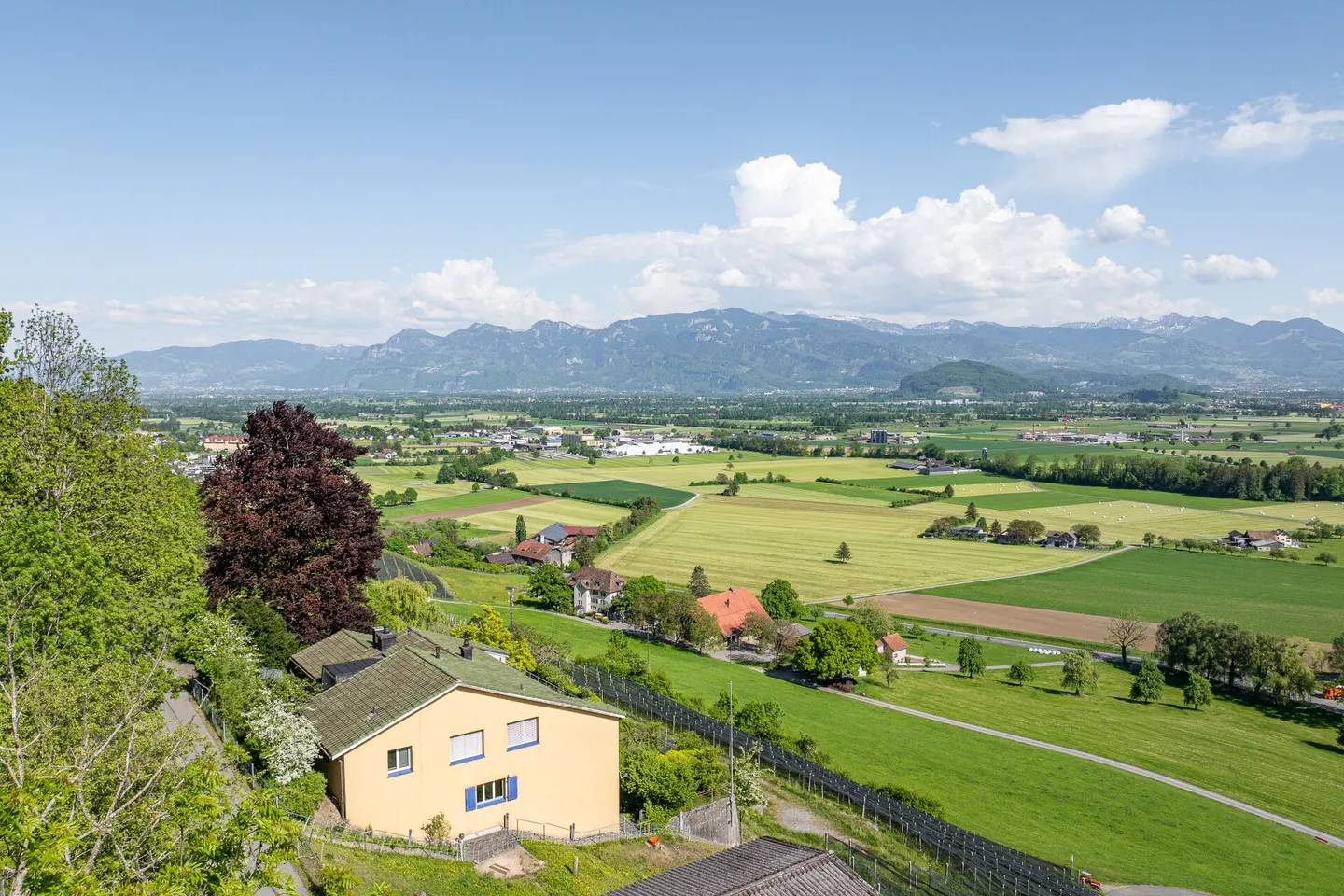 Casa unifamiliare con appartamento separato sulla vigna - Foto 2 di 15