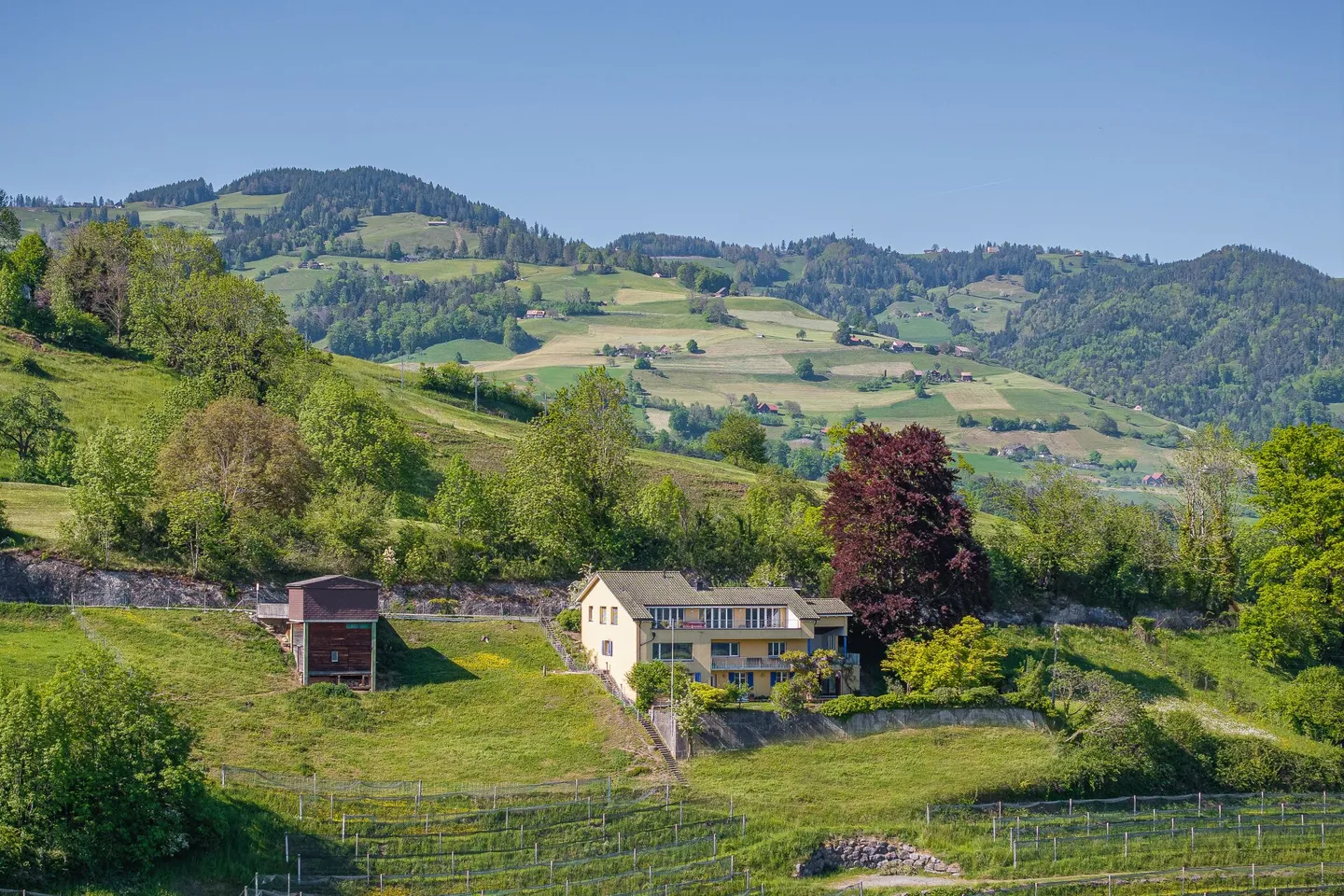 Casa unifamiliare con appartamento separato sulla vigna - Foto 13 di 15