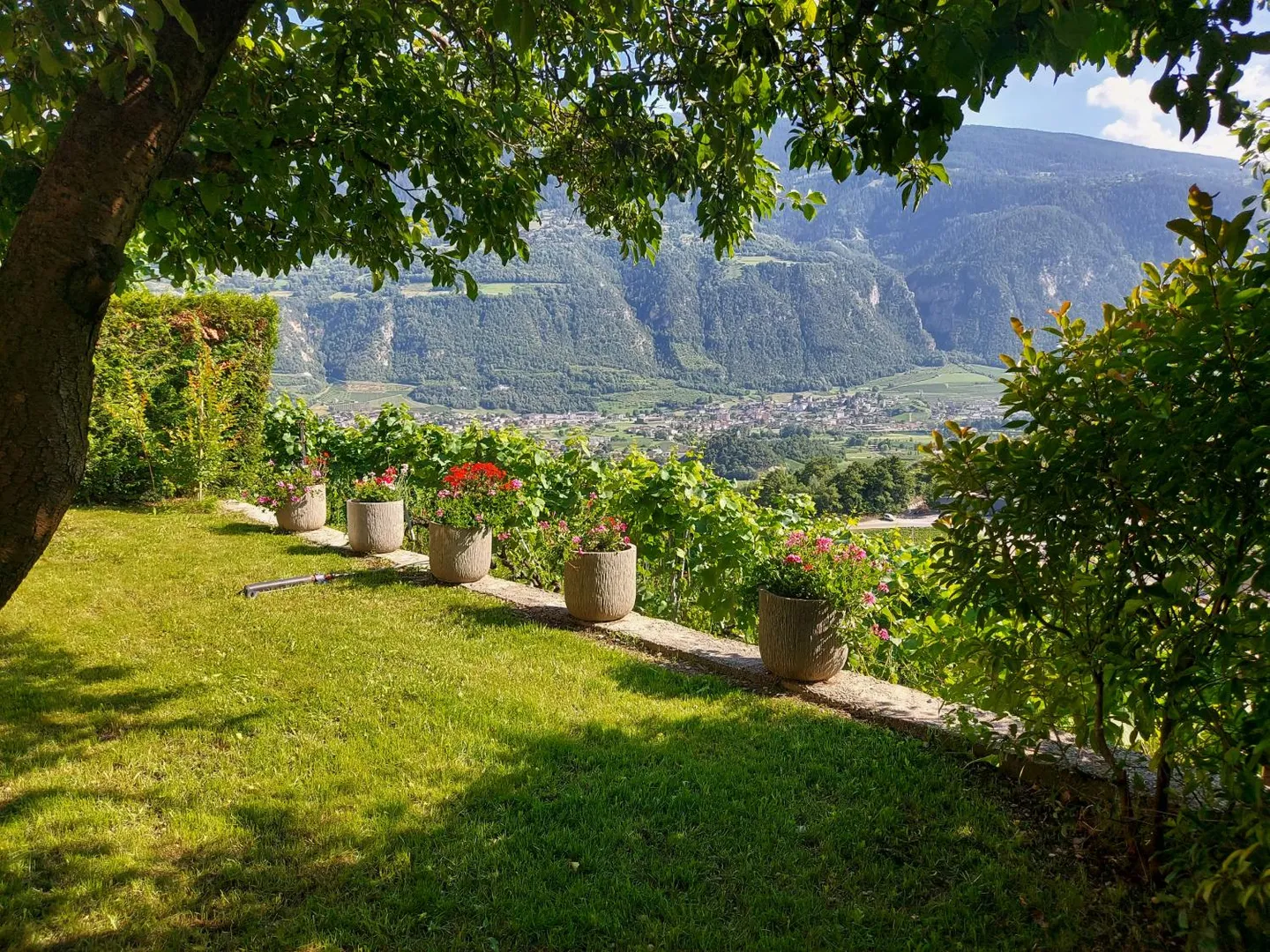 Casa contigua 5.5 stanze - Foto 7 di 8