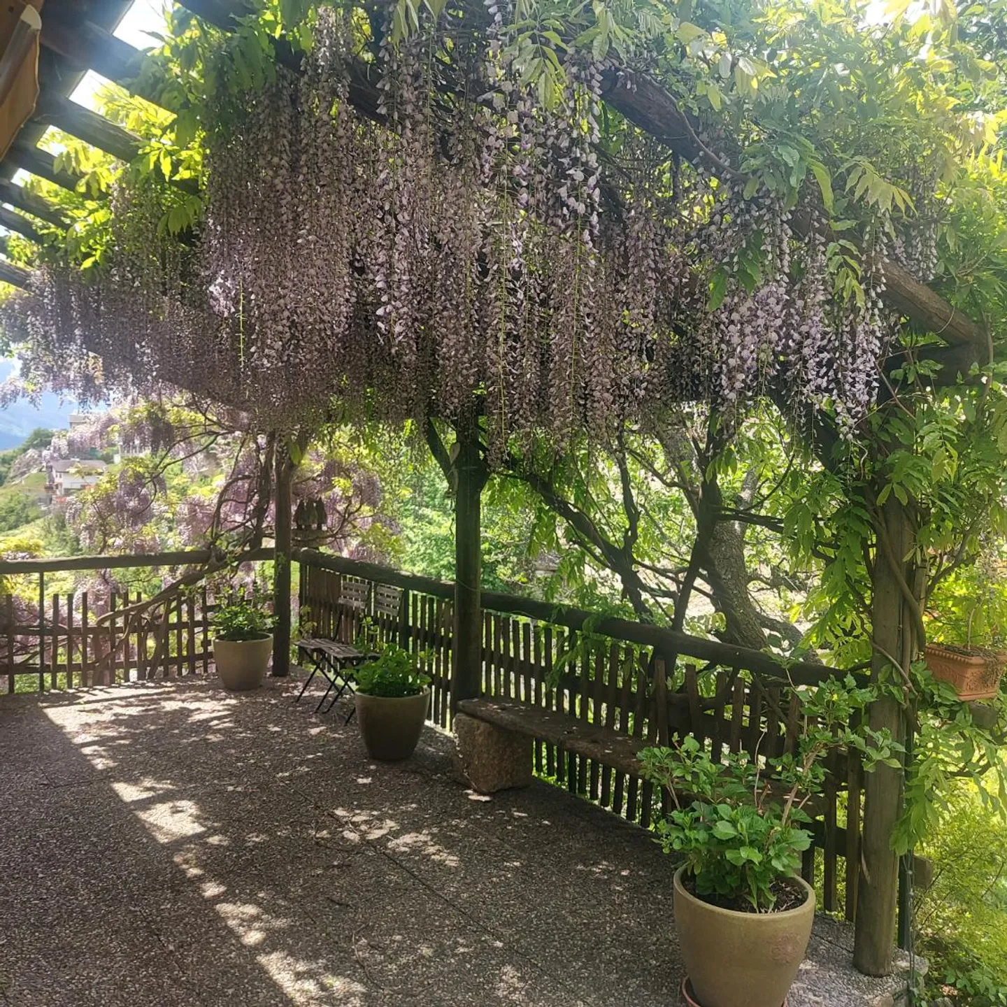 Casa contigua 5.5 stanze - Foto 8 di 8