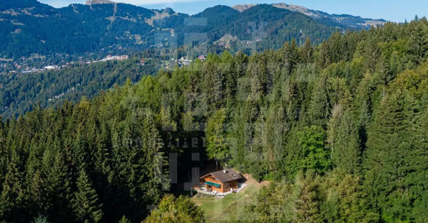 Chalet Charmant en Forêt - Photo 4 sur 13