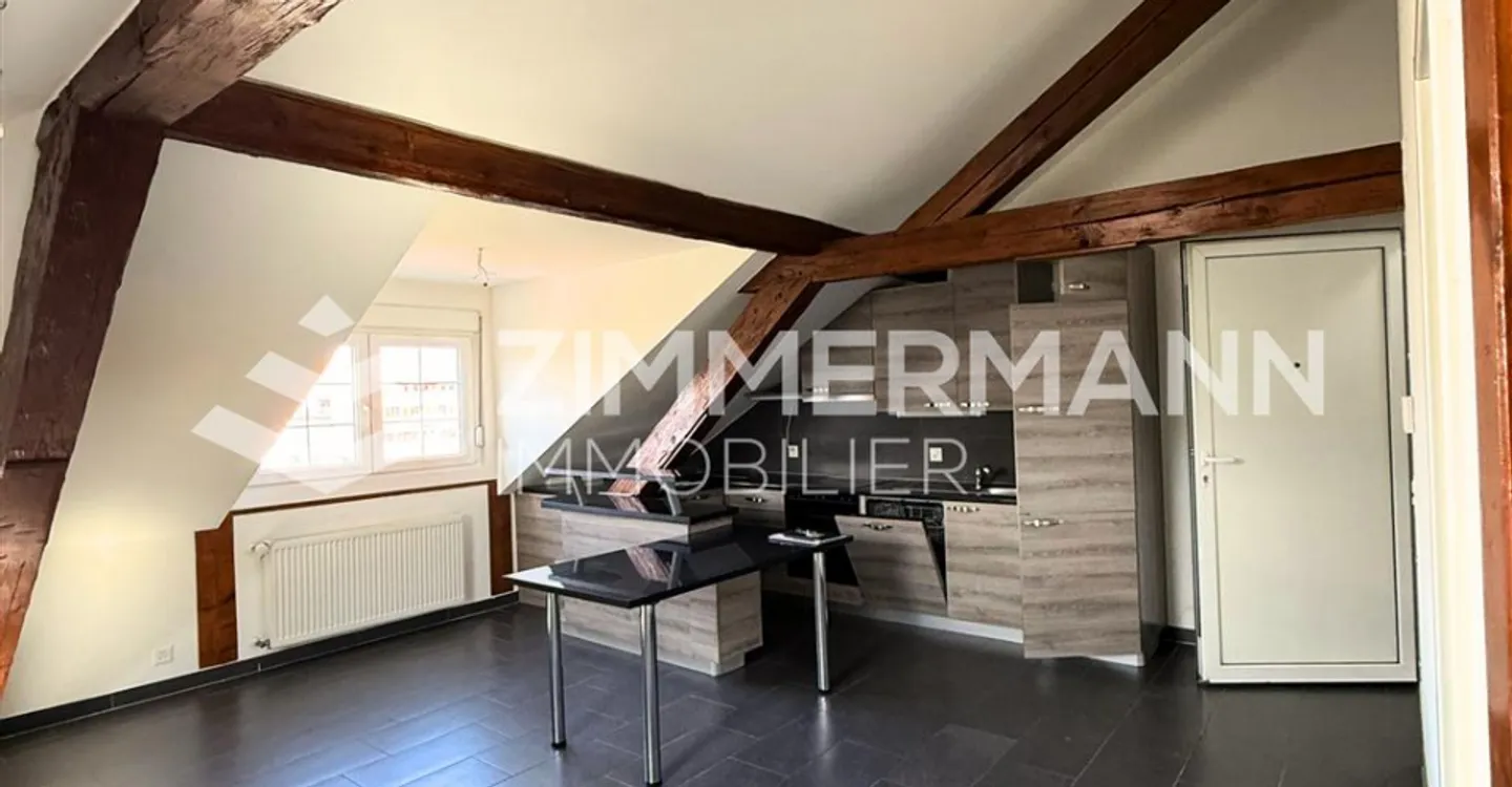 Appartement 1.5 pièce cosy à Orbe - Photo 2 sur 5