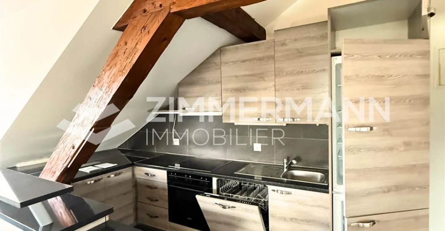 Appartement 1.5 pièce cosy à Orbe - Photo 4 sur 5