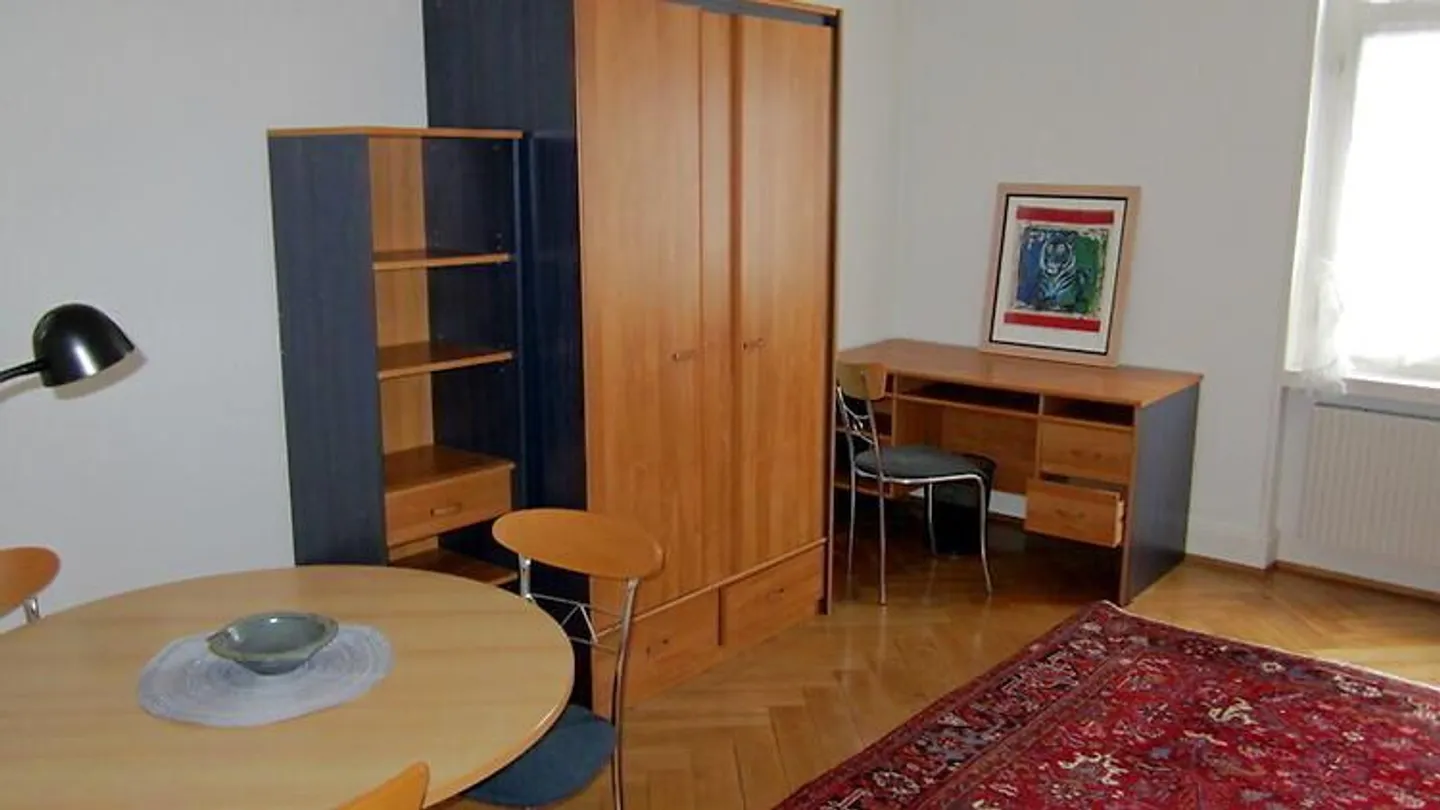 APPARTEMENT 1 PIÈCE À BASEL - BIRSFELDEN, MEUBLÉ - Photo 4 sur 10