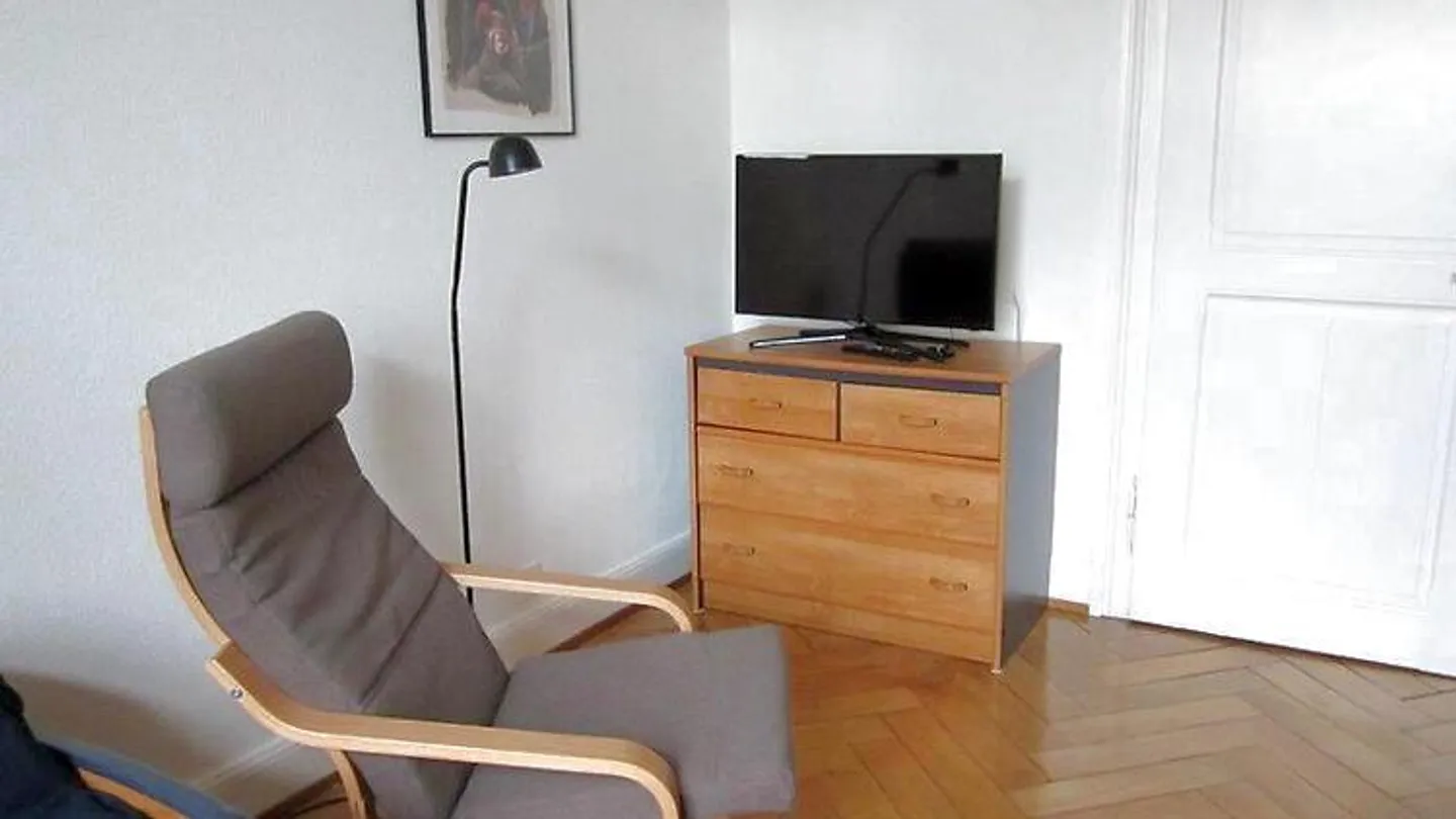 APPARTEMENT 1 PIÈCE À BASEL - BIRSFELDEN, MEUBLÉ - Photo 5 sur 10