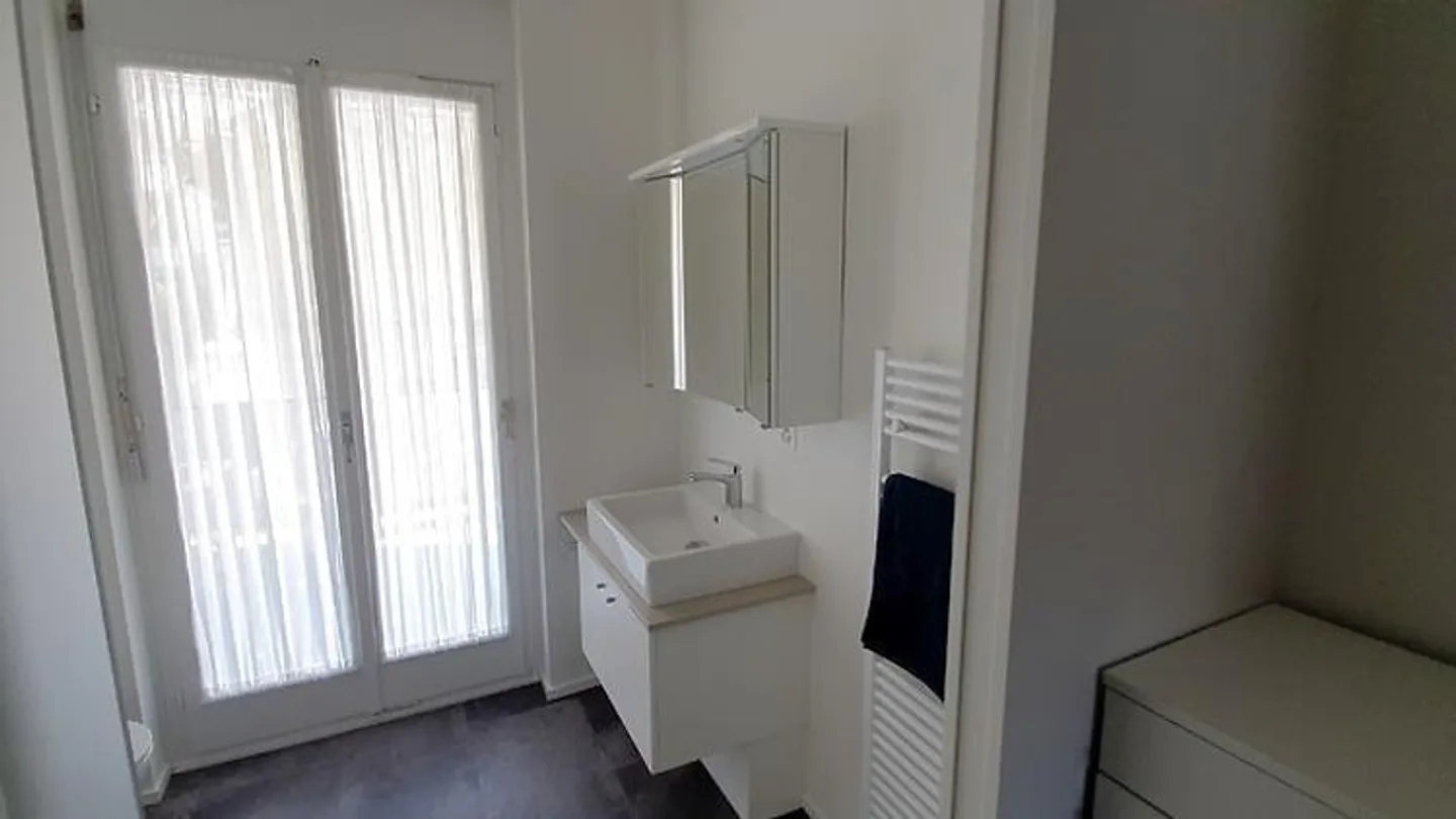 APPARTEMENT 1 PIÈCE À BASEL - BIRSFELDEN, MEUBLÉ - Photo 8 sur 10