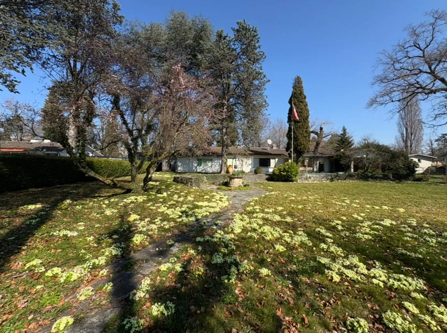 Charming Villa in Malagnou - Photo 1 of 2