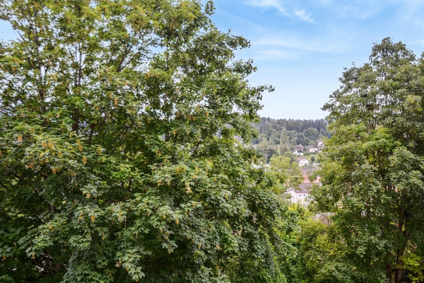 Renovated - very spacious - ideal location - Photo 3 of 9