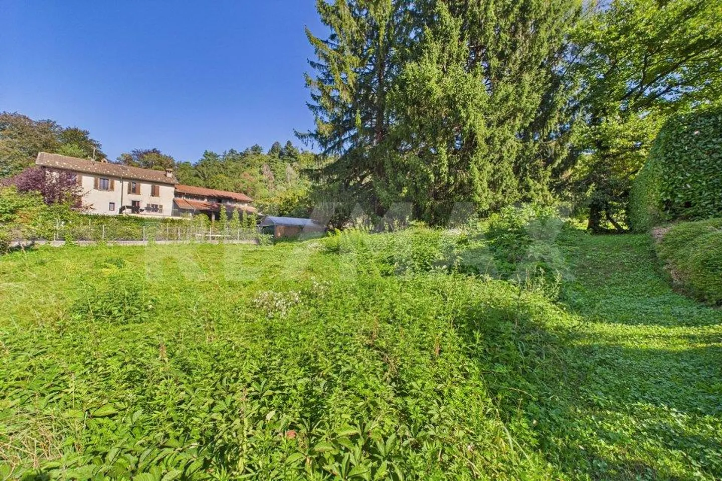 Terreno edificabile in una posizione verde e tranquilla a Tresa - Foto 7 di 13