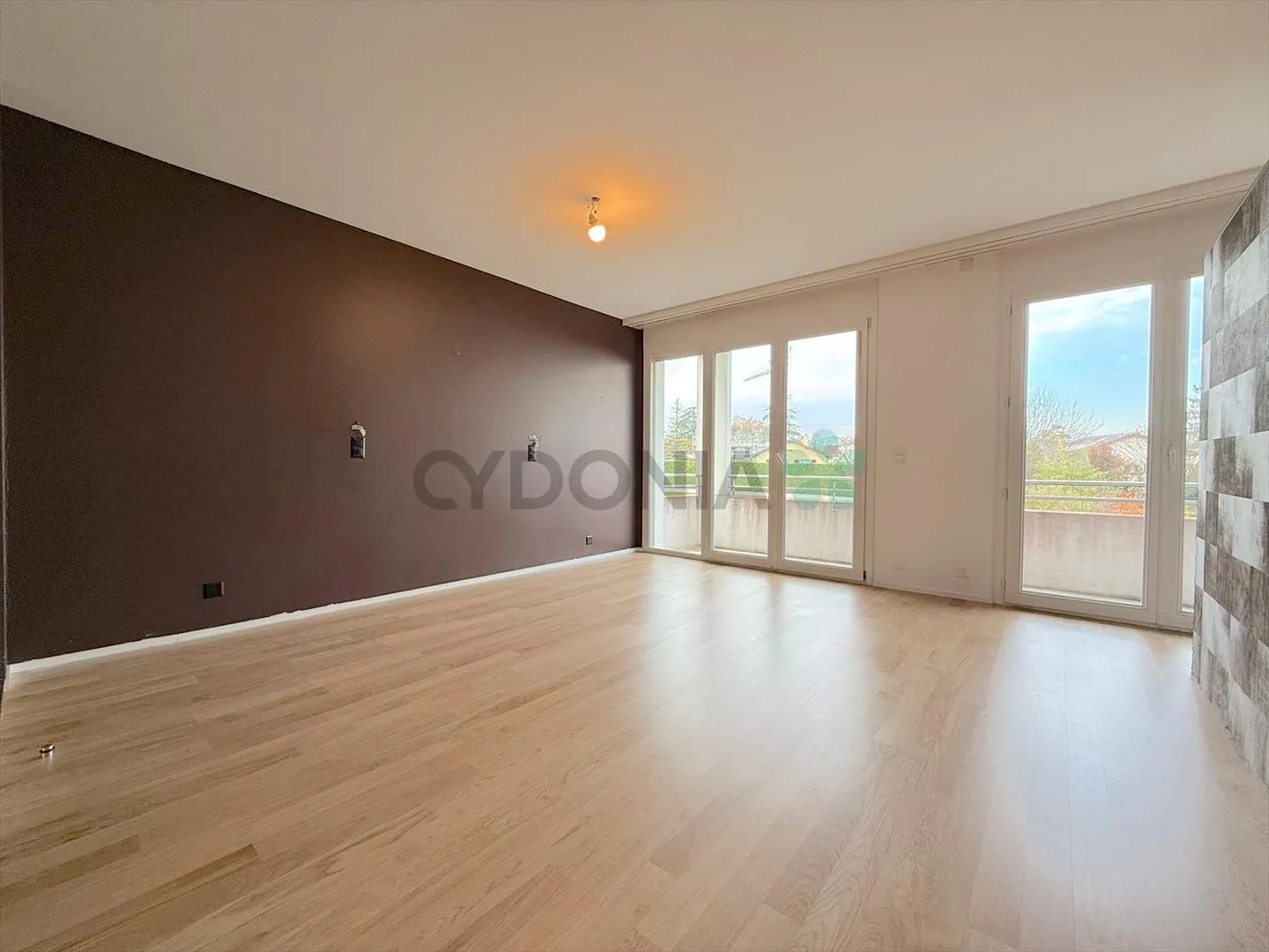 Duplex Penthouse in Plan-les-Ouates - Photo 4 of 8