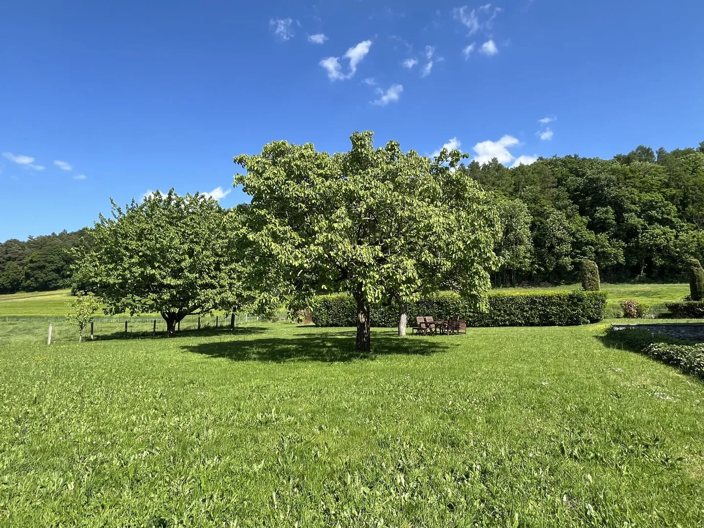 IN AN IDYLLIC IN THE HEART OF NATURE - Photo 18 of 19