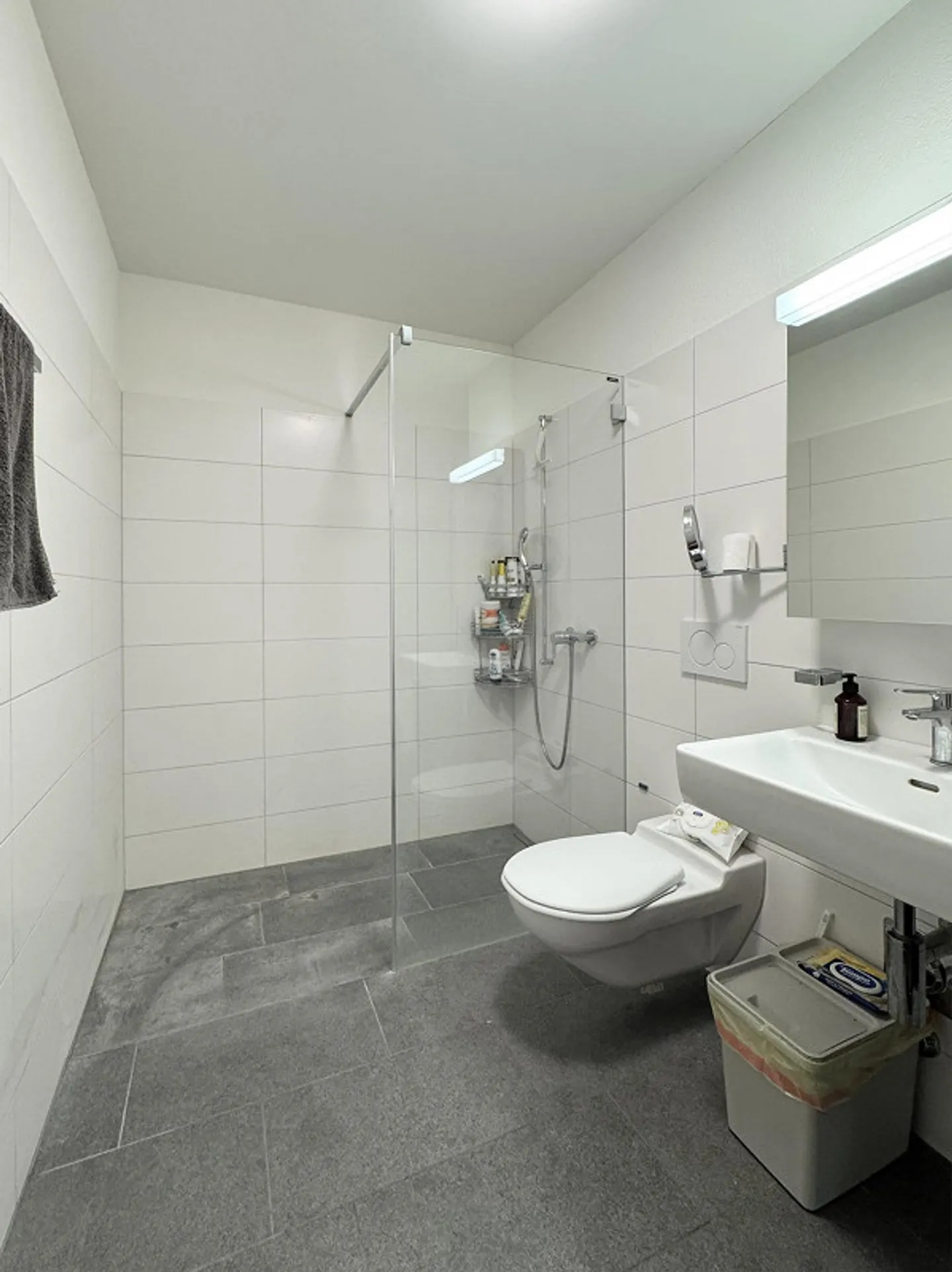 Above the rooftops: Sunny 3.5-room penthouse apartment with large terrace - Photo 8 of 13