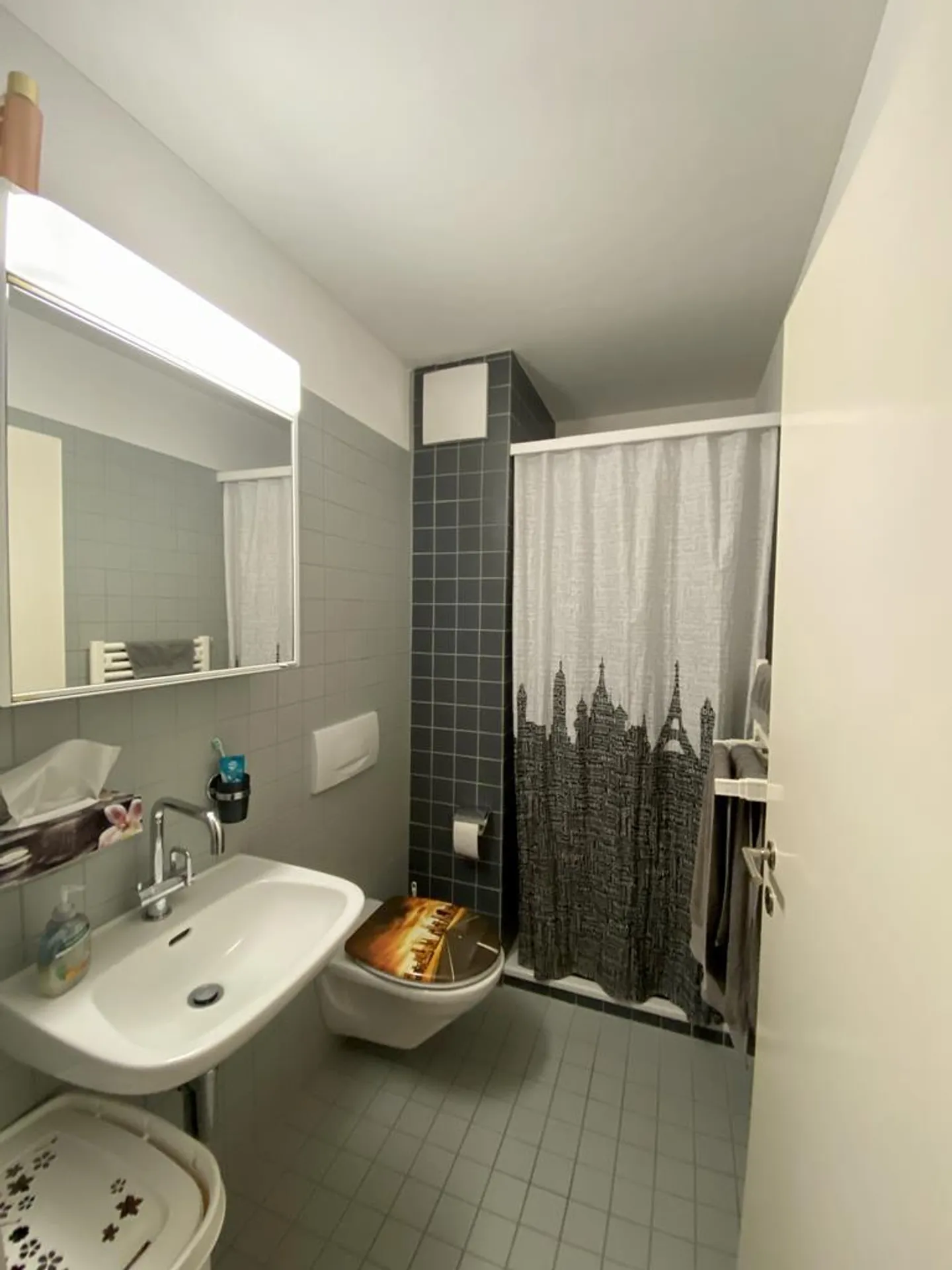 Appartamento 4.5 stanze - Foto 7 di 9