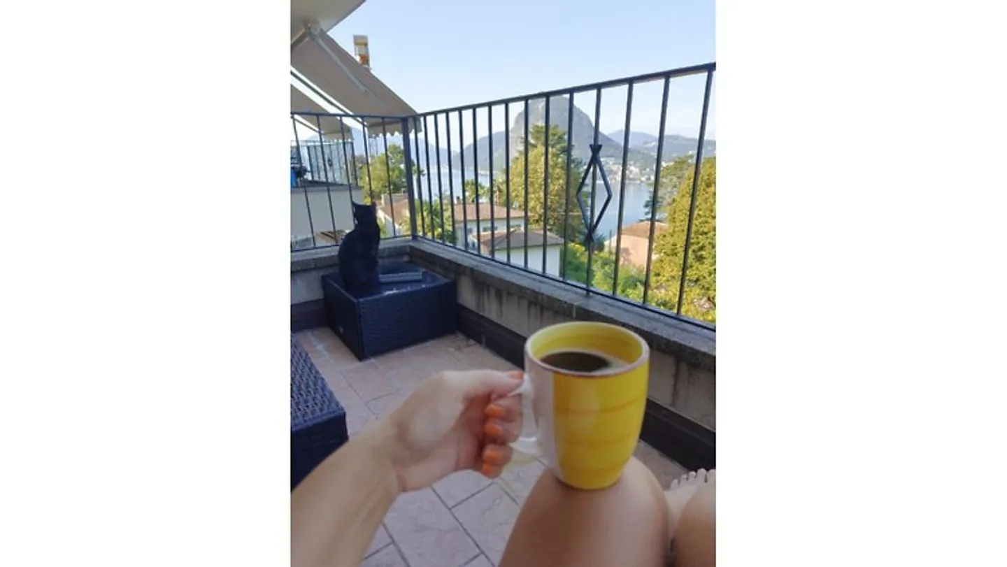 APPARTEMENT 2½ PIÈCES À RUVIGLIANA (TI), MEUBLÉ, TEMPORAIRE - Photo 8 sur 9