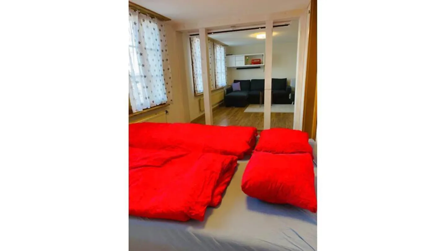 APPARTAMENTO 2½ LOCALI A BÖNIGEN VICINO A INTERLAKEN (BE), ARREDATO - Foto 6 di 10