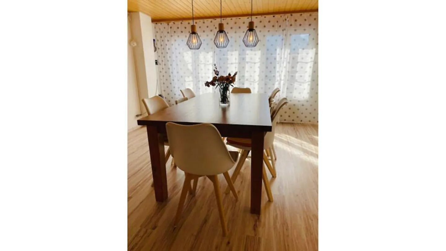APPARTAMENTO 2½ LOCALI A BÖNIGEN VICINO A INTERLAKEN (BE), ARREDATO - Foto 7 di 10