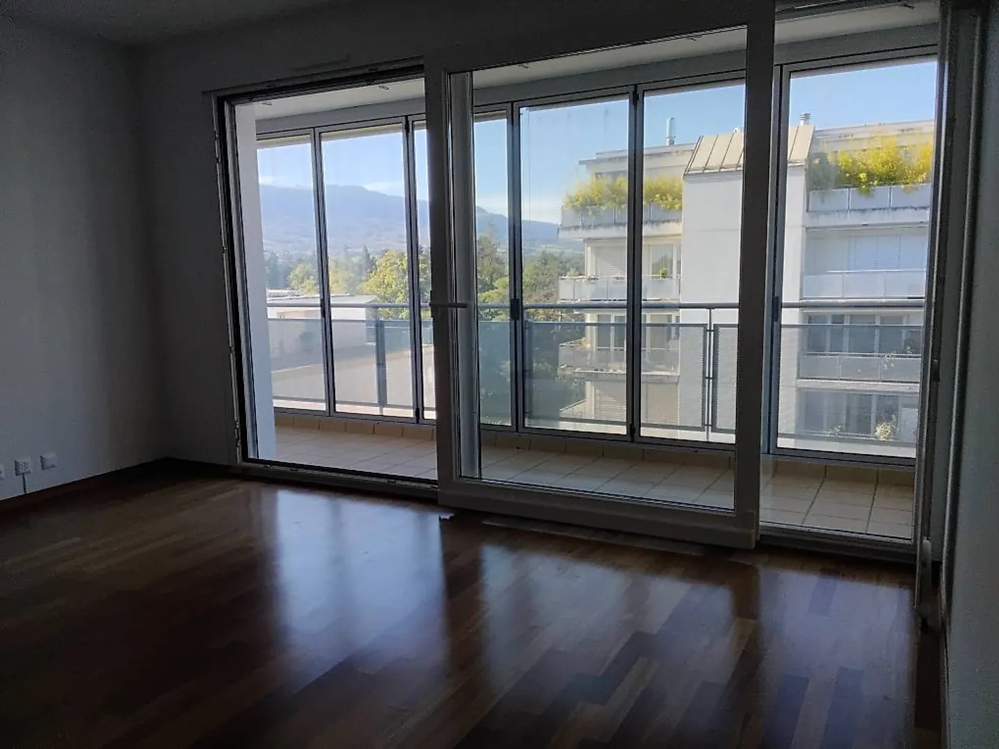 Bright 4-Room Apartment in Carouge - Photo 3 of 5
