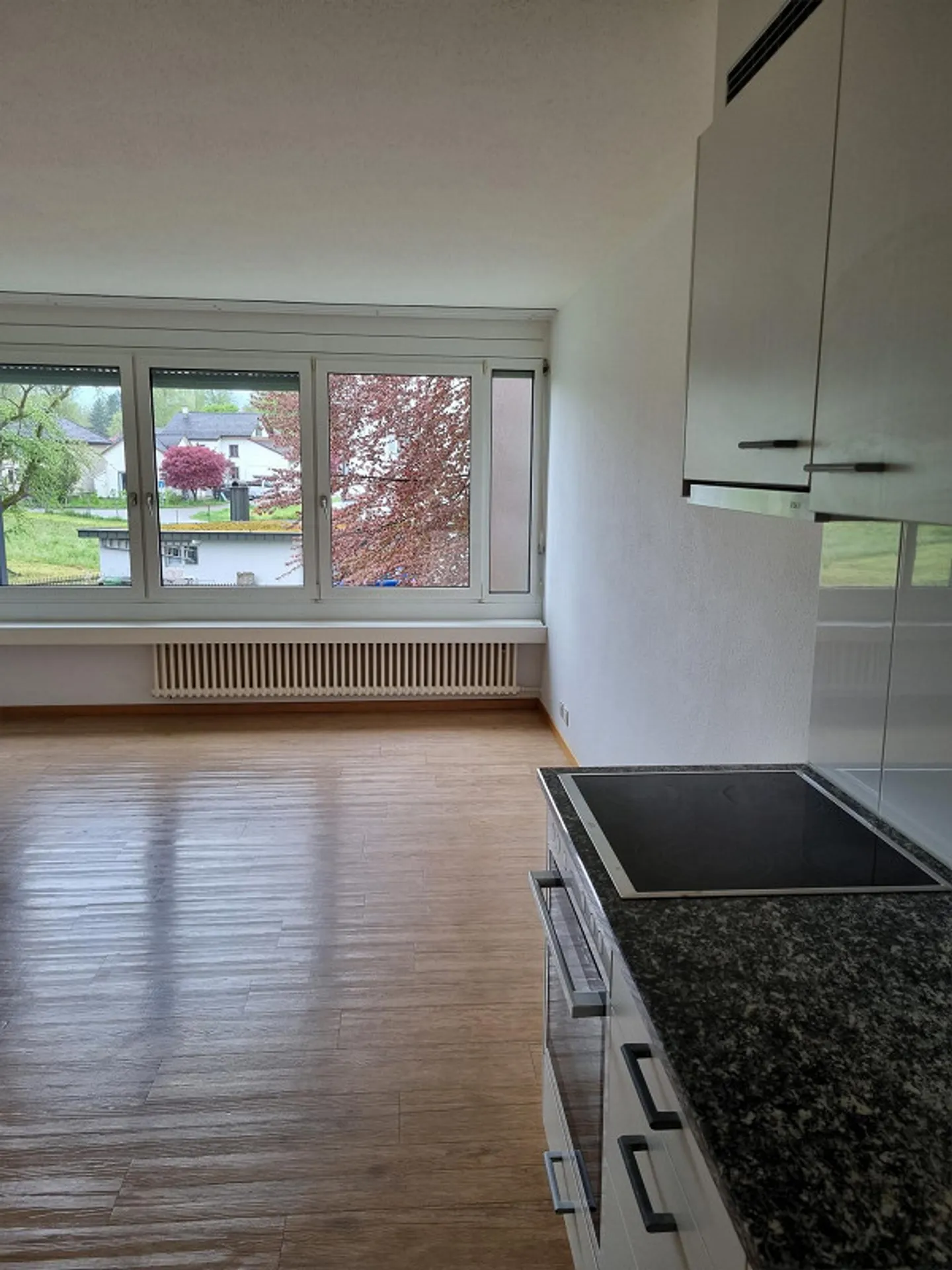 Appartement 1 pièce à louer à Niederuzwil - Photo 4 sur 7