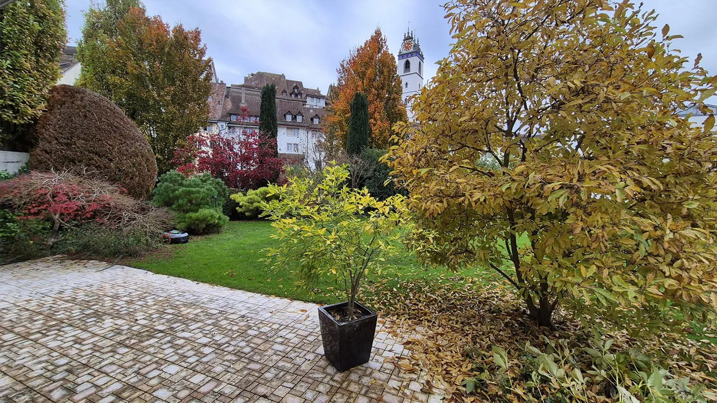 Great Garden Apartment - Old Town Ring Aarau - Photo 2 of 14