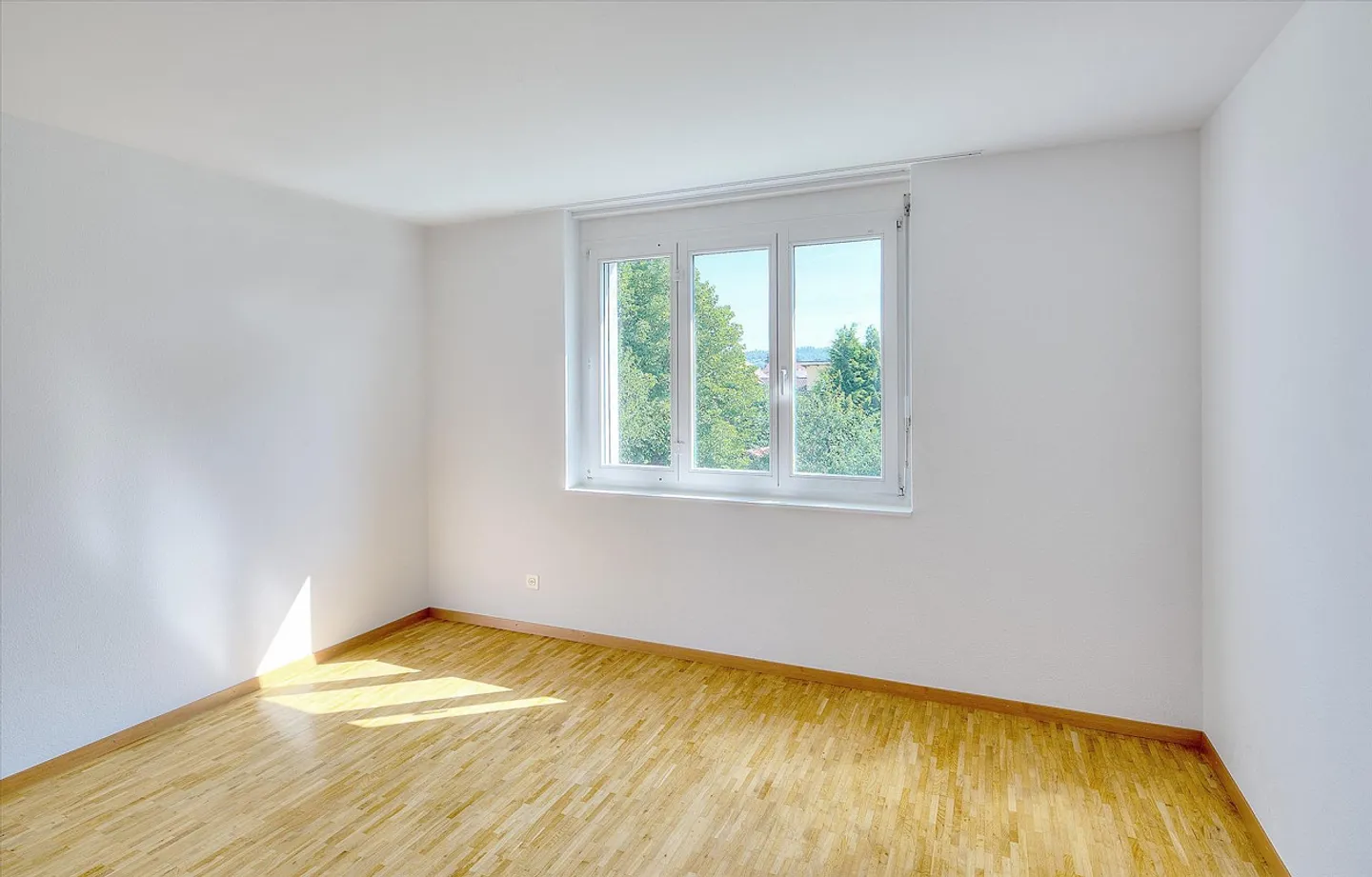 La colonie du bien-être. - Photo 6 sur 7