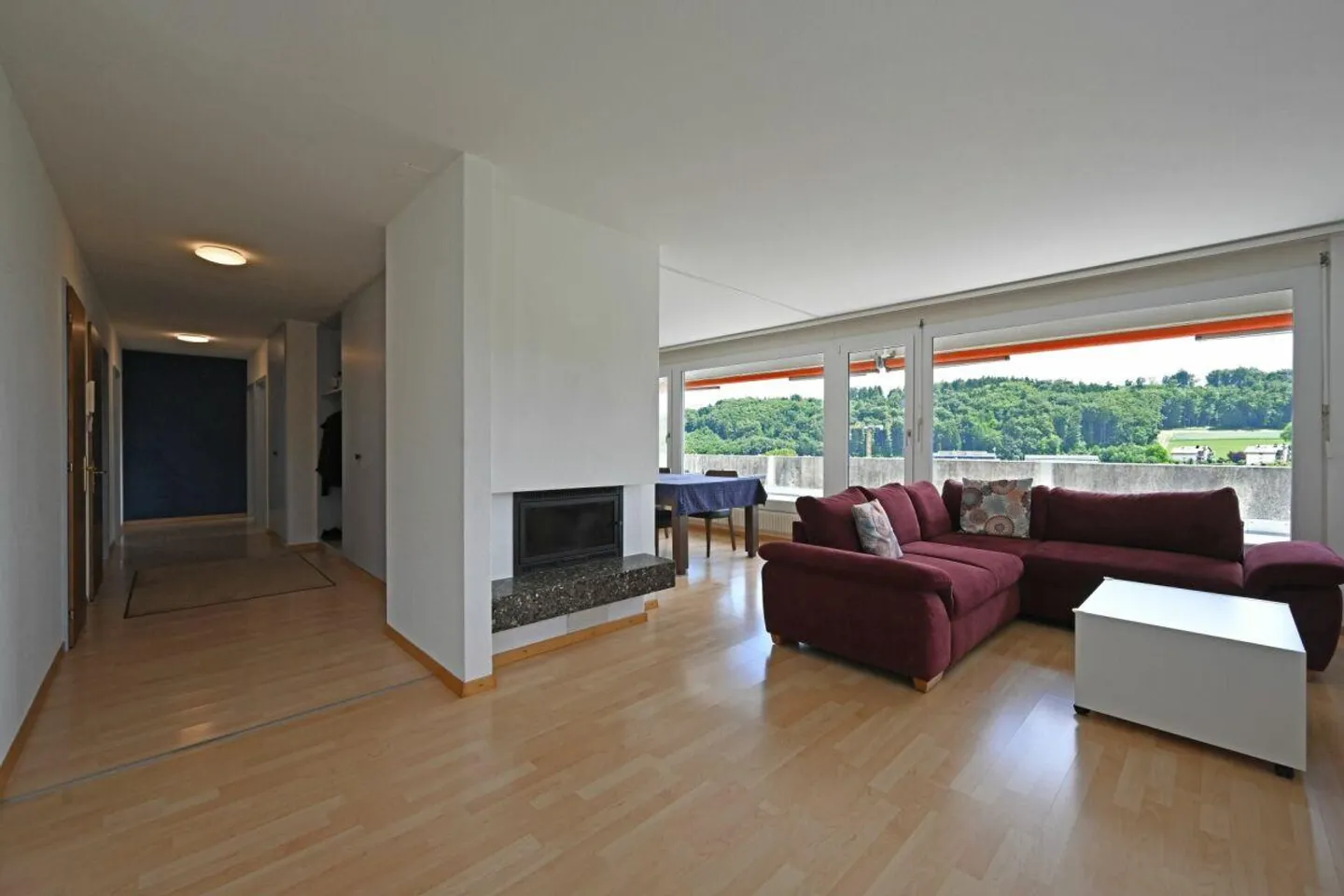 4.5-room penthouse apartment with panoramic views and large terrace - Photo 4 of 11