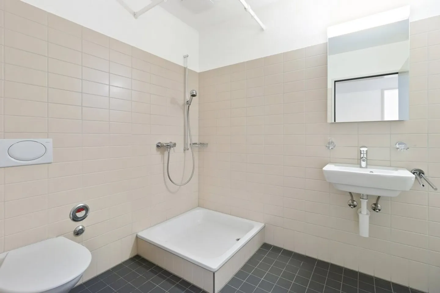 Charming Apartment in Adliswil - Photo 7 of 9