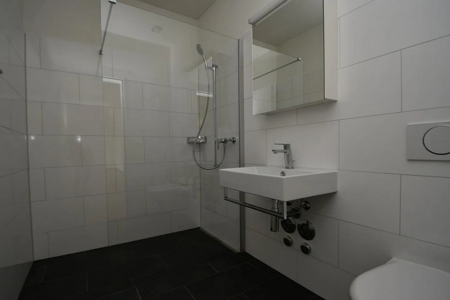 GO BERN WEST - Iconic Residential Park Spirit - Photo 5 of 6