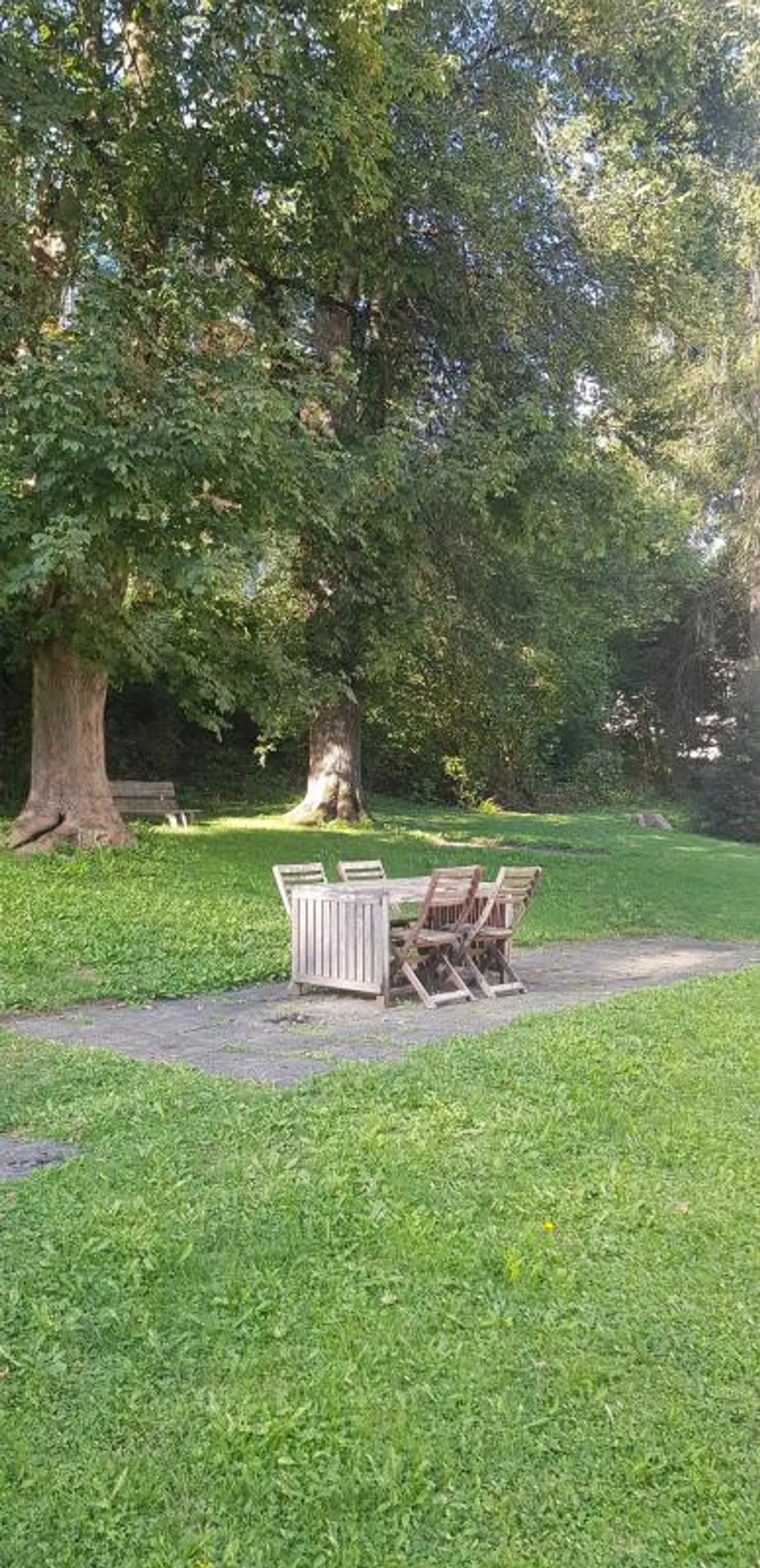 Al cuore della città eppure nel verde - Foto 11 di 11