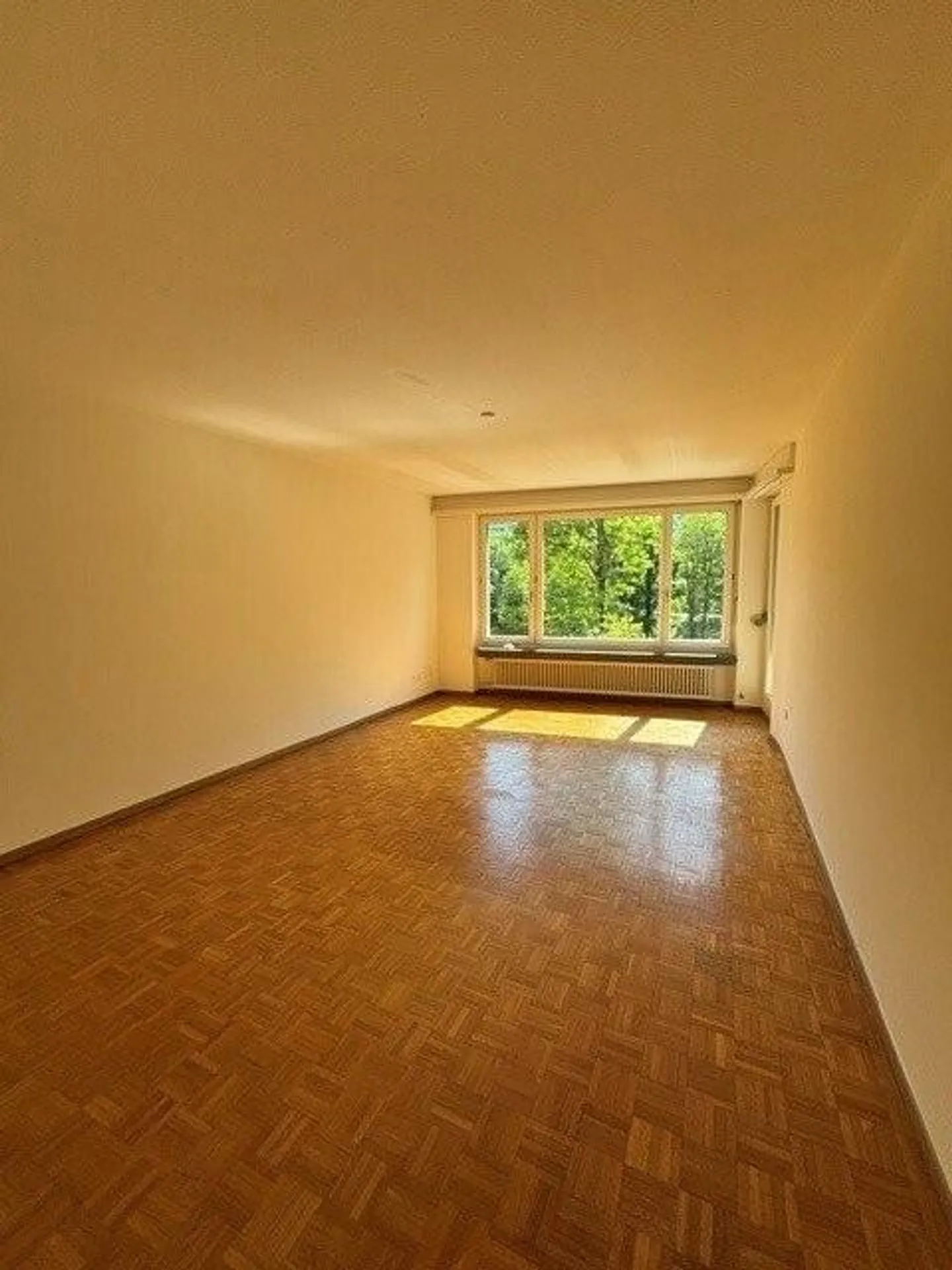 Gemütliche Wohnung in Adliswil - Foto 3 von 10