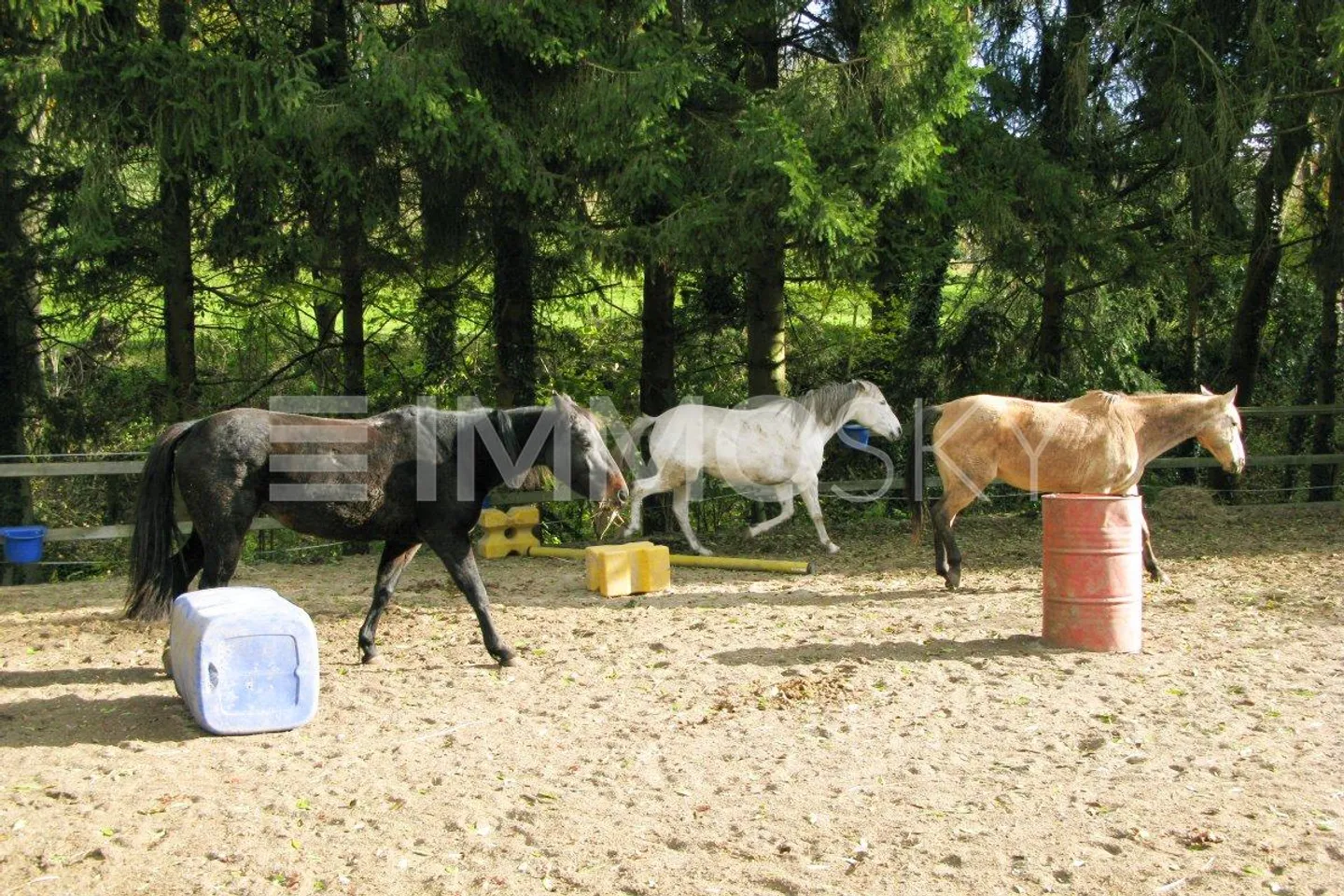 Approximately 300 m² of living space on 1,981 m² of land with swimming pool - Photo 3 of 5