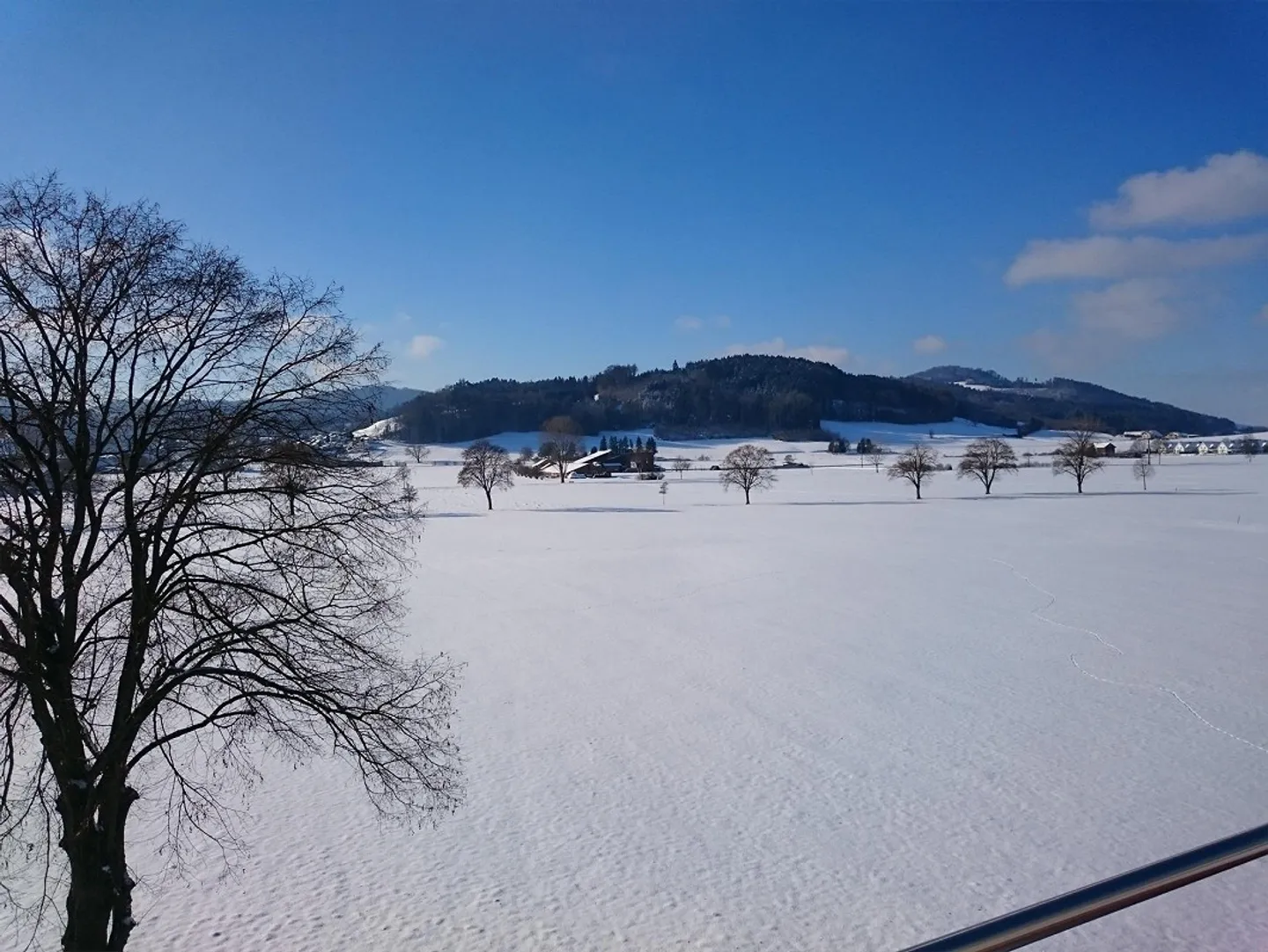 Appartement ensoleillé de 4,5 pièces au 1er étage avec vue dégagée sur la verdure - Photo 3 sur 15