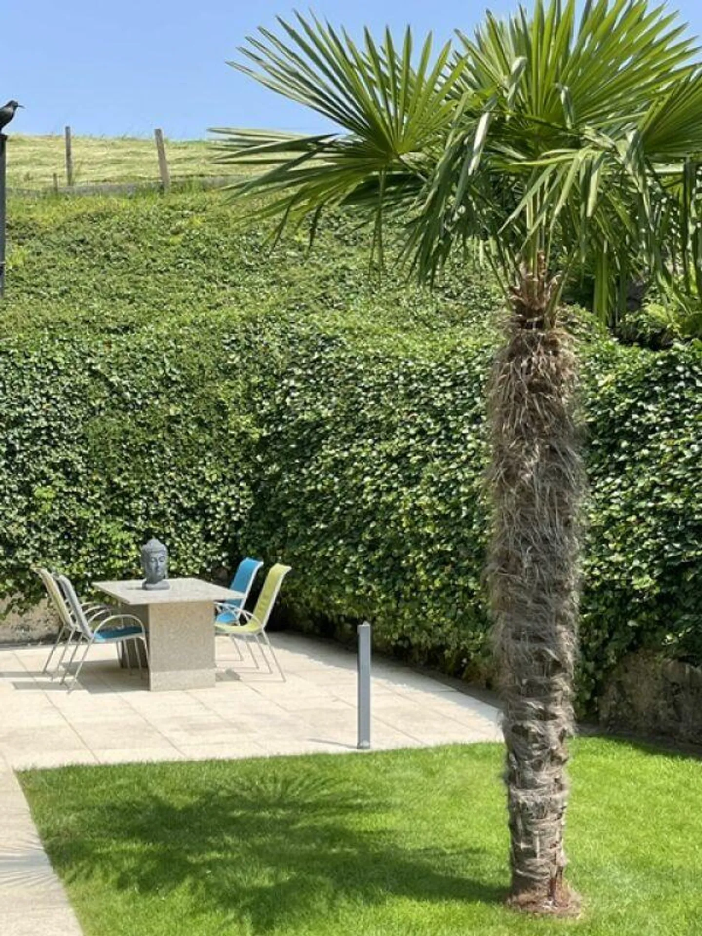 Sunny Single-Family Country House with a View of Pilatus and Stanserhorn - Photo 11 of 11