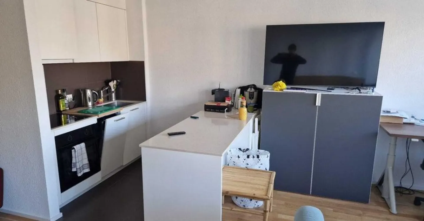 Renovated studio close to all amenities - Photo 6 of 6