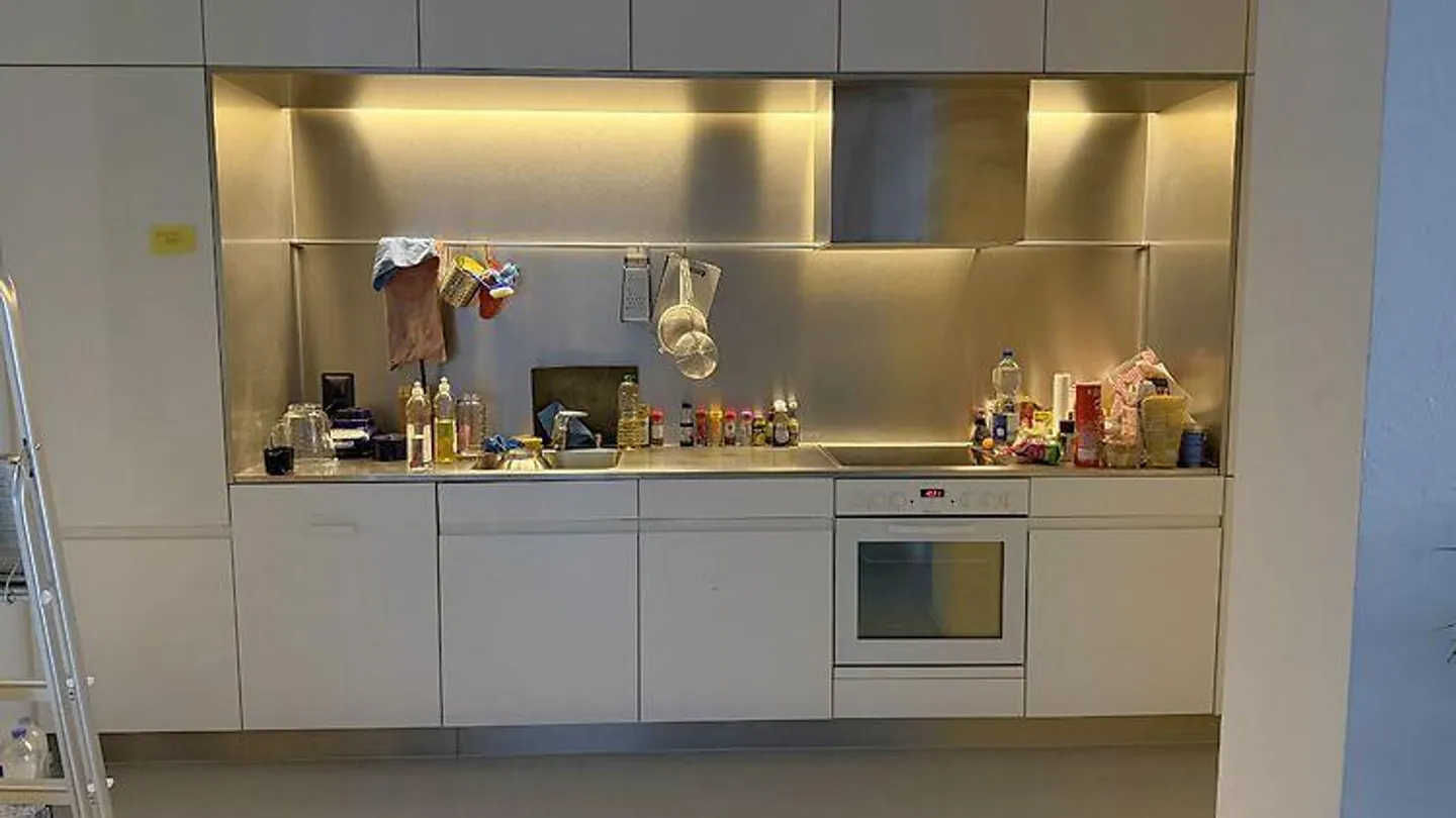 LOFT IN ZURICH (ZH), FURNISHED, TEMPORARY - Photo 4 of 9