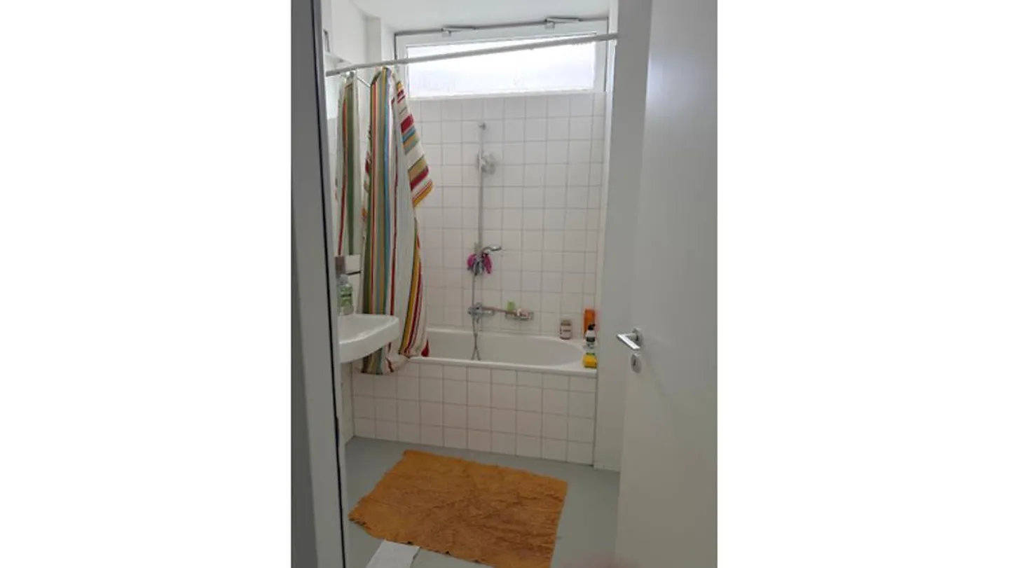 LOFT IN ZURICH (ZH), FURNISHED, TEMPORARY - Photo 6 of 9