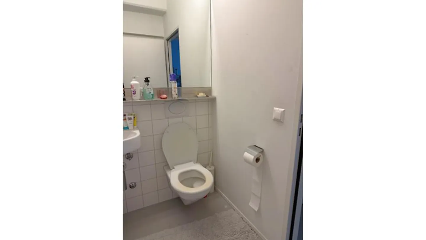 LOFT IN ZURICH (ZH), FURNISHED, TEMPORARY - Photo 7 of 9