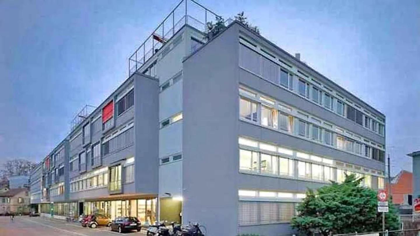 LOFT IN ZURICH (ZH), FURNISHED, TEMPORARY - Photo 8 of 9