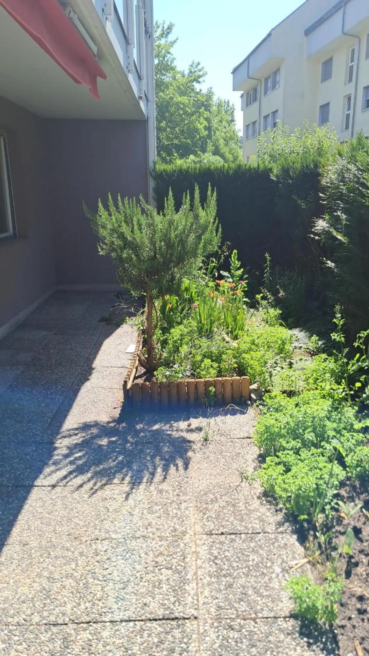 Appartamento di 3,5 locali al piano terra con giardino a Penthaz - Foto 7 di 7
