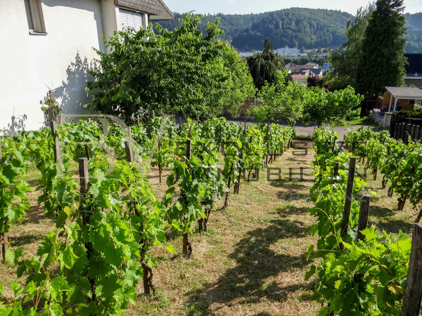 Casa di 6,5 stanze con vista da sogno - Foto 5 di 6
