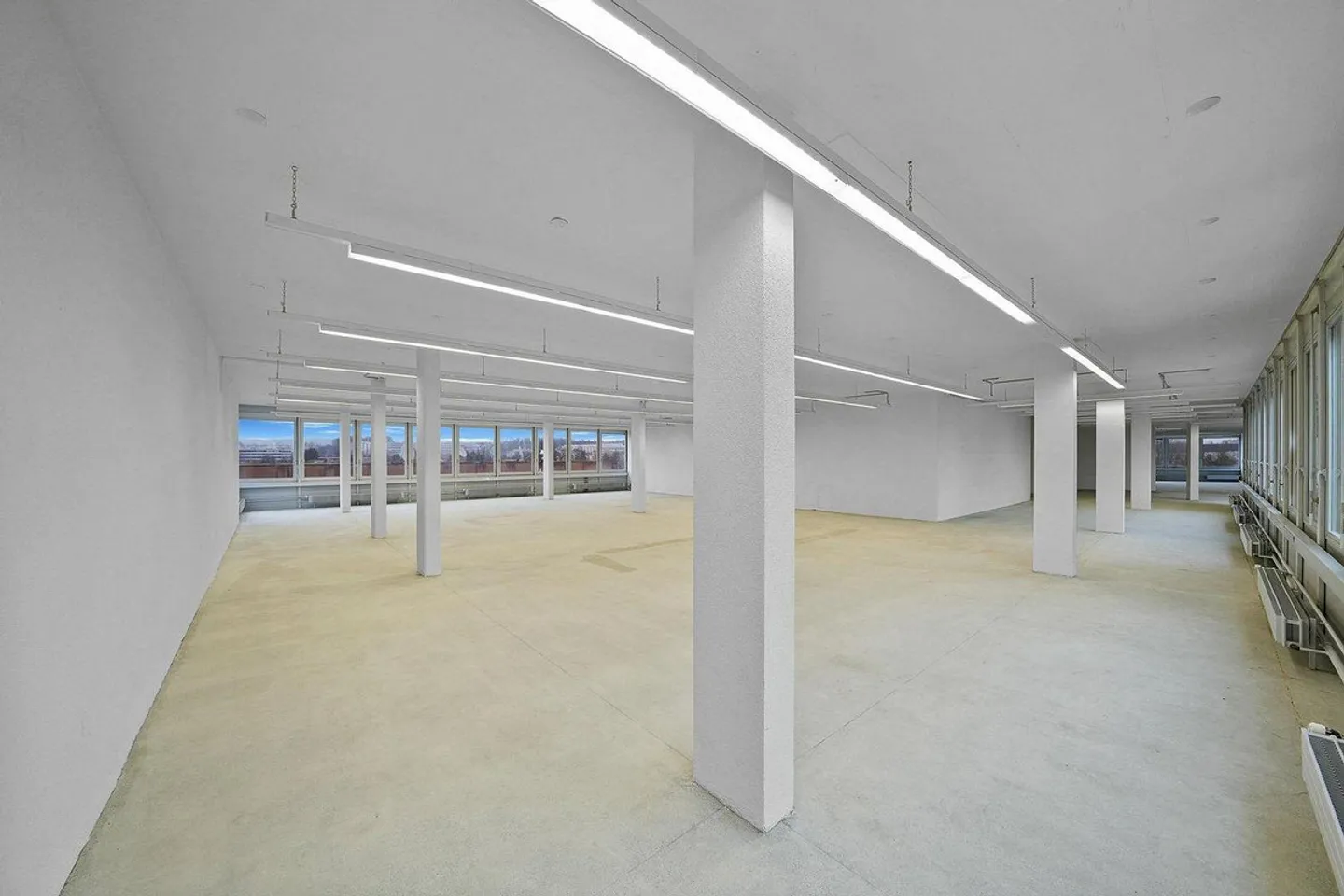 Spazio commerciale pratico con carico di pavimento di 1'000 kg/m² - vista inclusa! - Foto 5 di 13